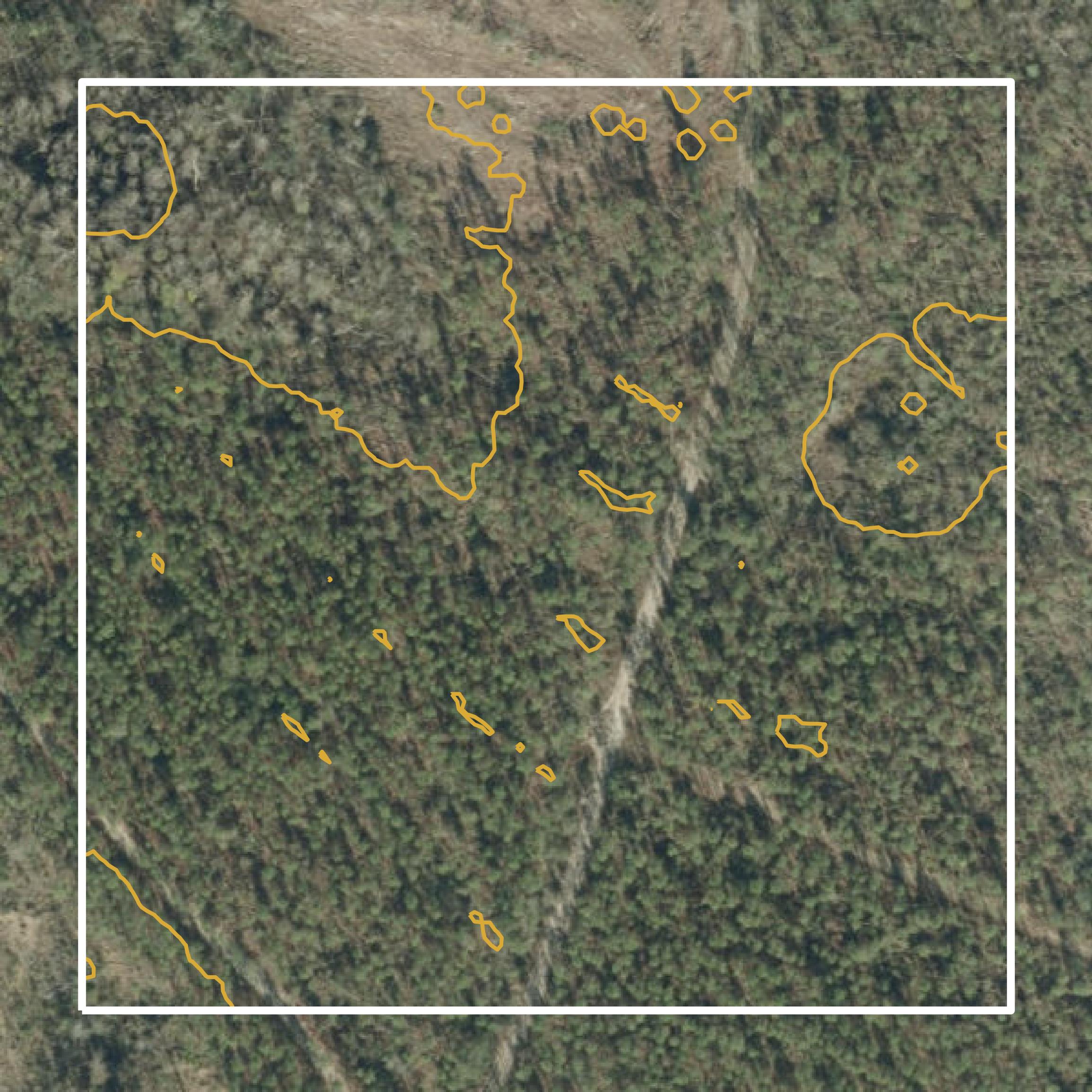This image shows a contour map in Taylor County created using GIS data in Equator.