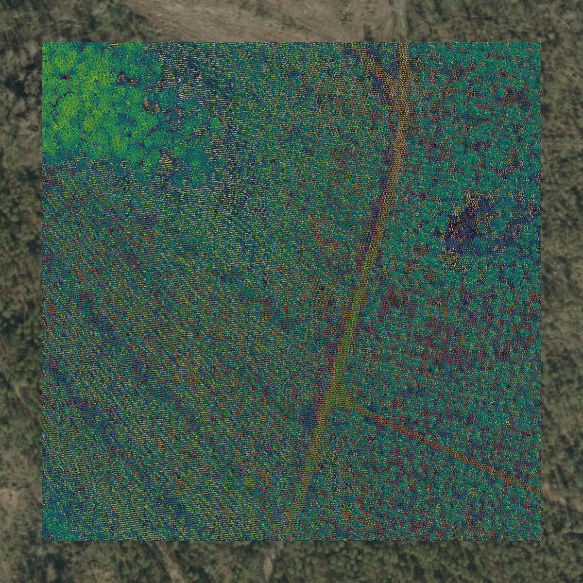 This image shows a LiDAR point cloud in Taylor County created using GIS data in Equator.