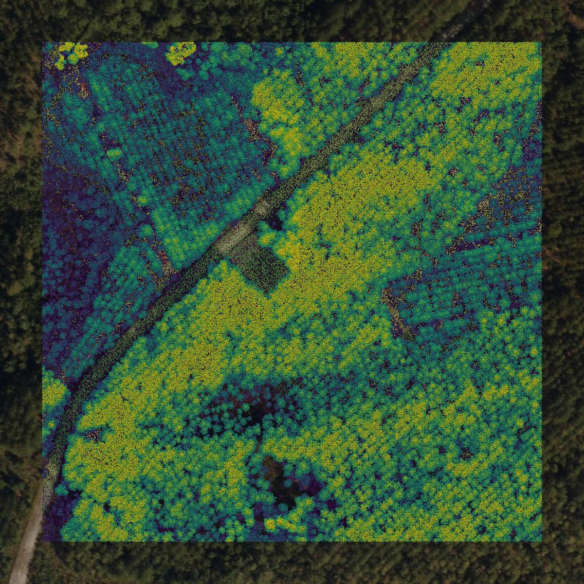 This image shows a LiDAR point cloud in Union County created using GIS data in Equator.