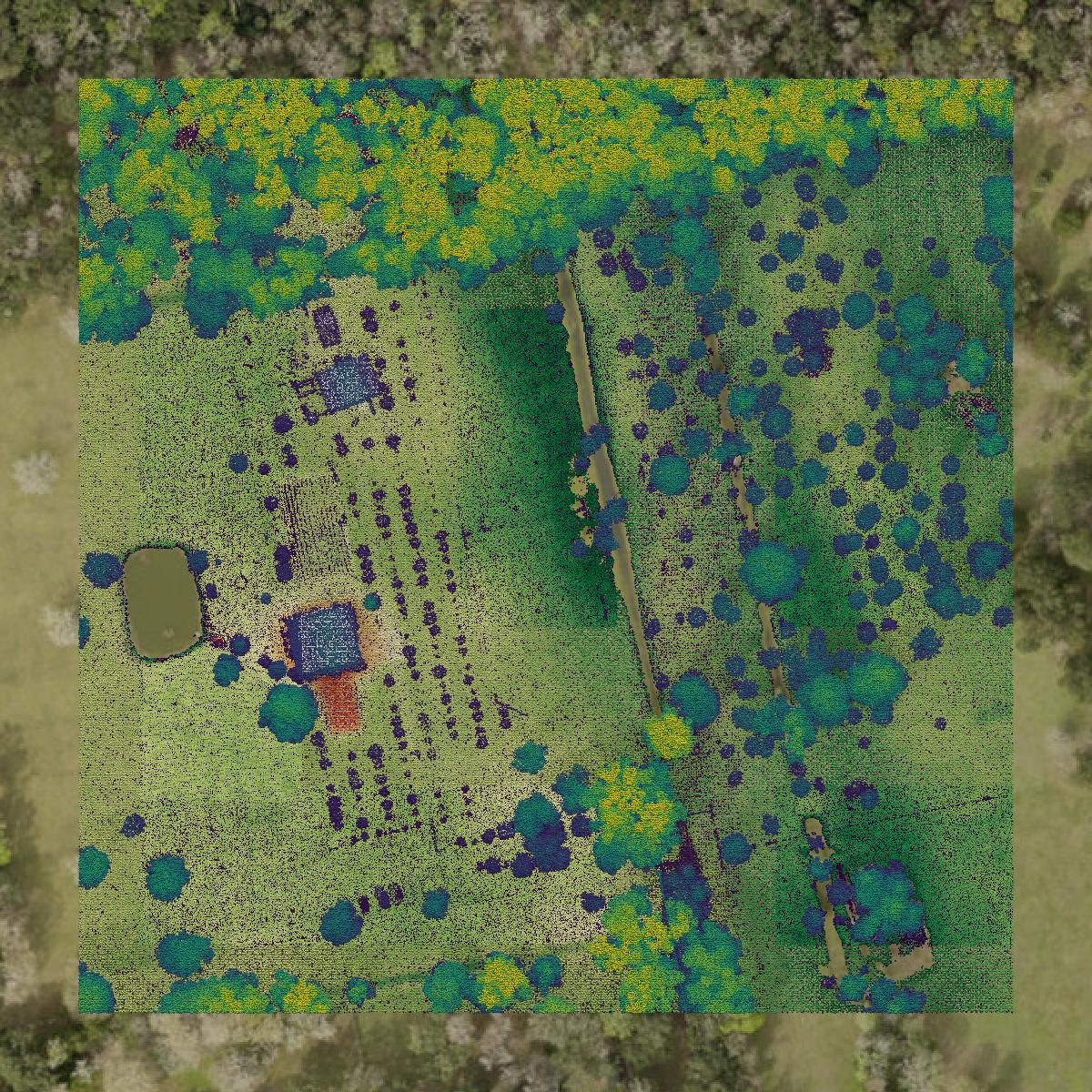 This image shows a LiDAR point cloud in Volusia County created using GIS data in Equator.