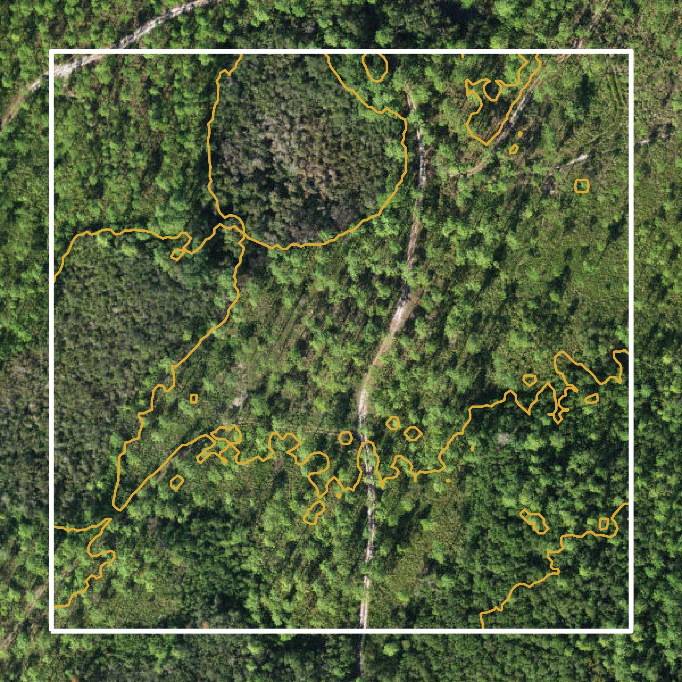 This image shows a contour map in Wakulla County created using GIS data in Equator.