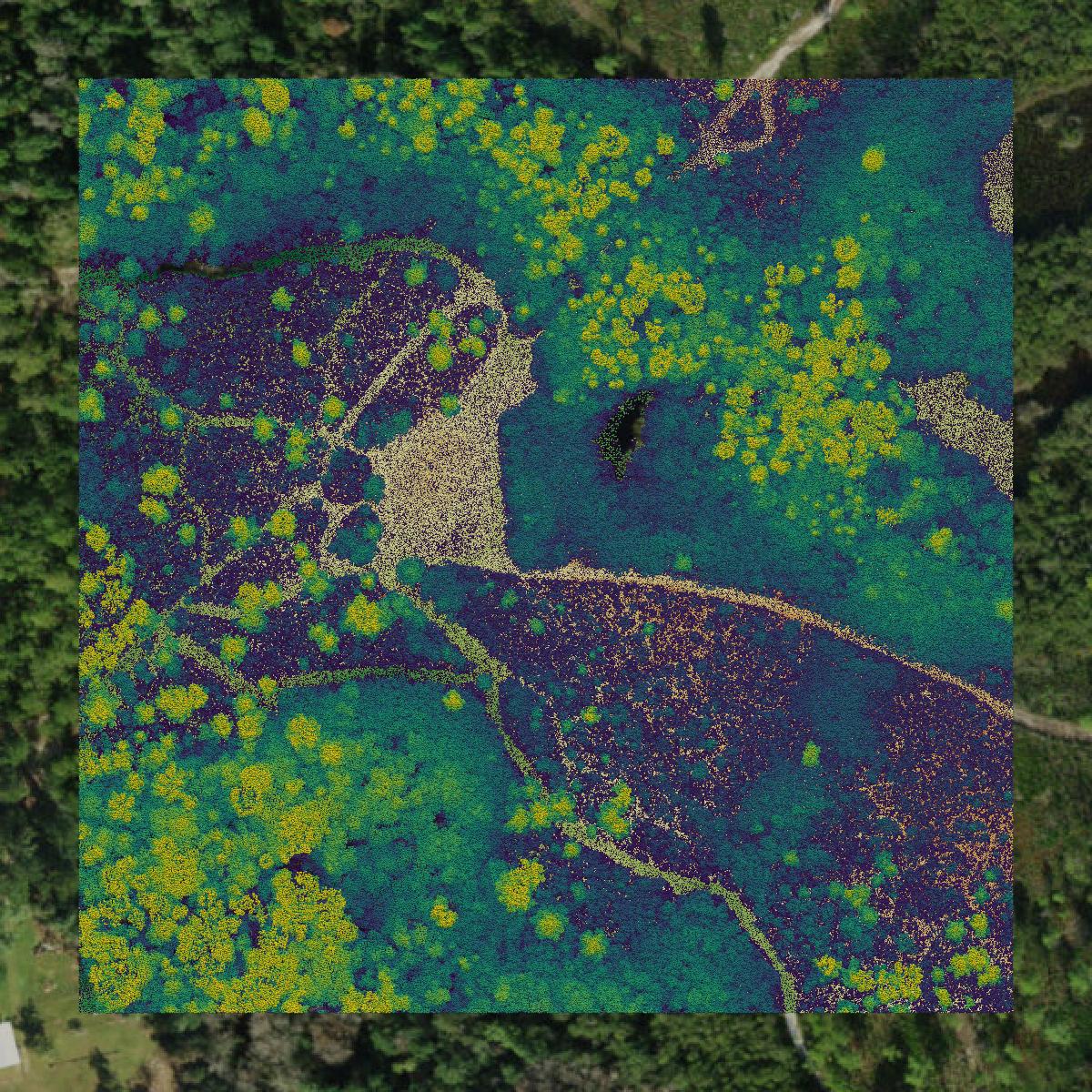 This image shows a LiDAR point cloud in Wakulla County created using GIS data in Equator.