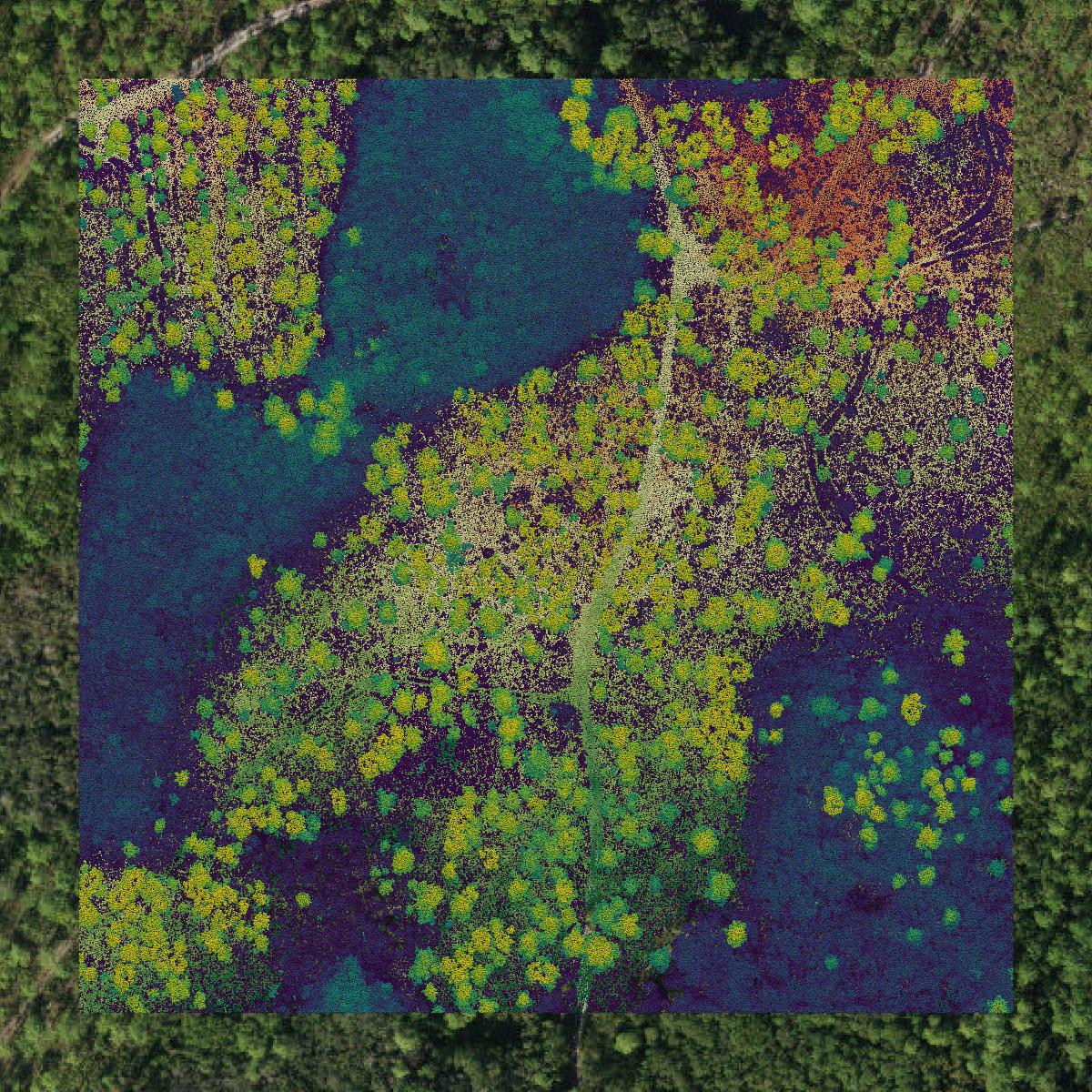 This image shows a LiDAR point cloud in Wakulla County created using GIS data in Equator.