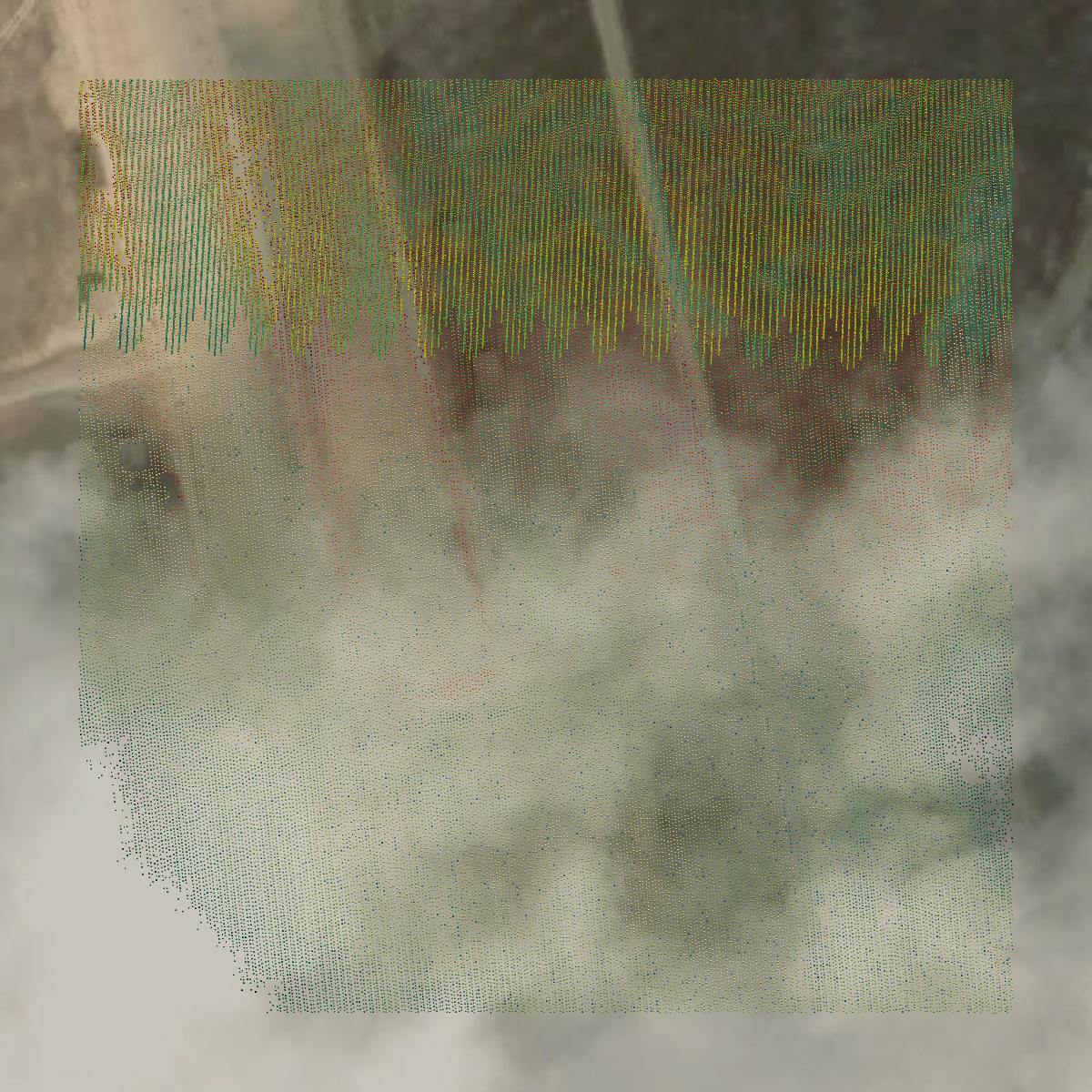 This image shows a LiDAR point cloud in Walton County created using GIS data in Equator.