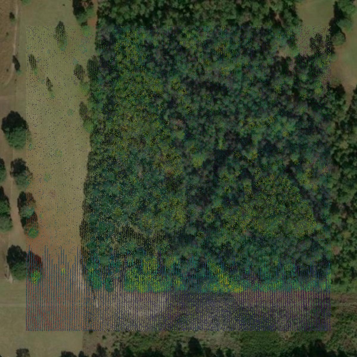 This image shows a LiDAR point cloud in Walton County created using GIS data in Equator.