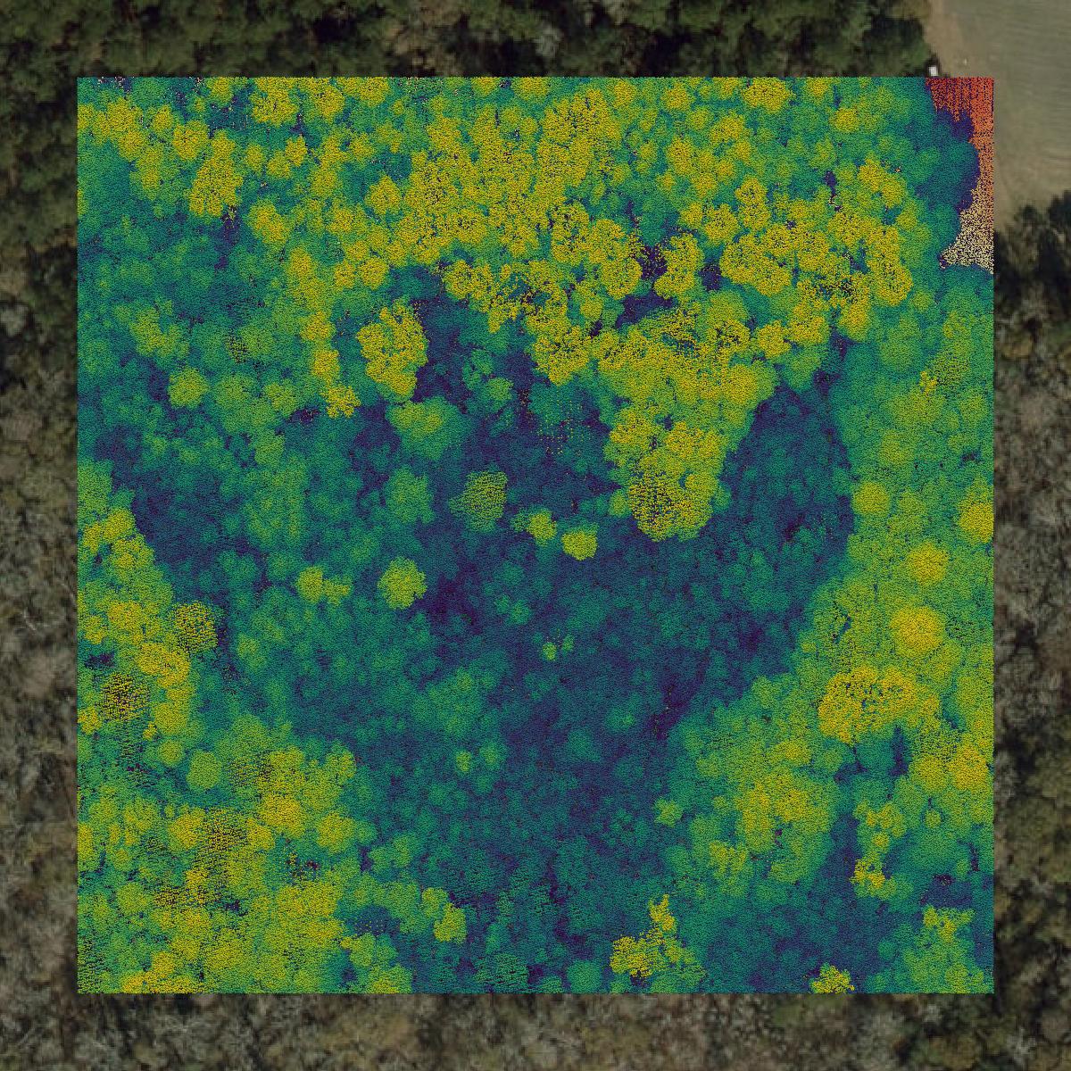 This image shows a LiDAR point cloud in Washington County created using GIS data in Equator.