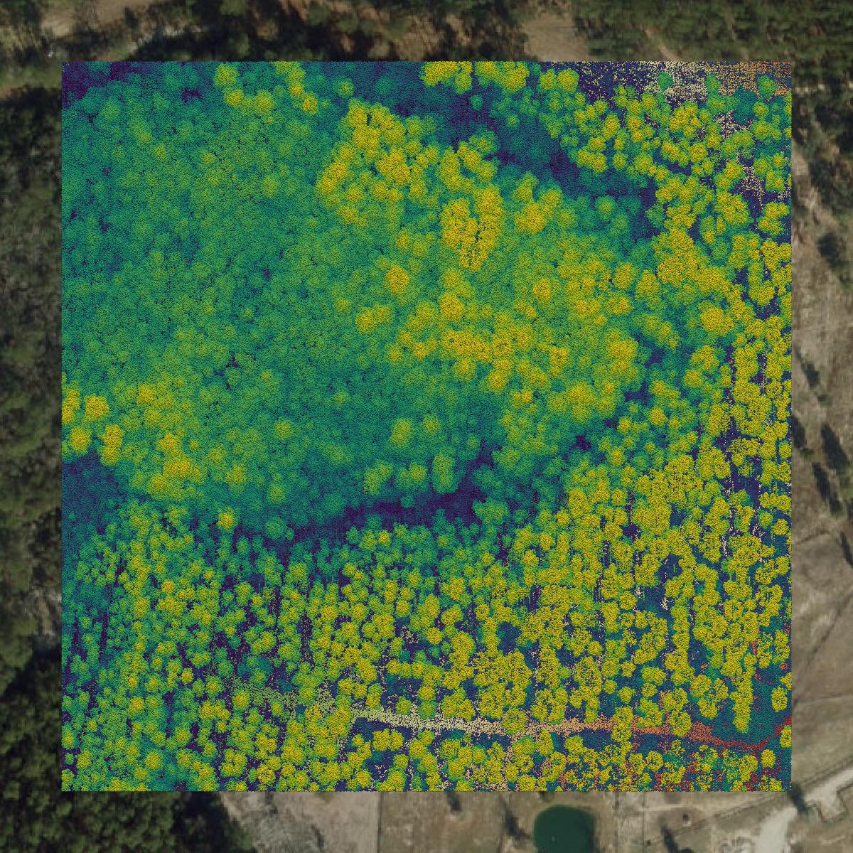 This image shows a LiDAR point cloud in Washington County created using GIS data in Equator.