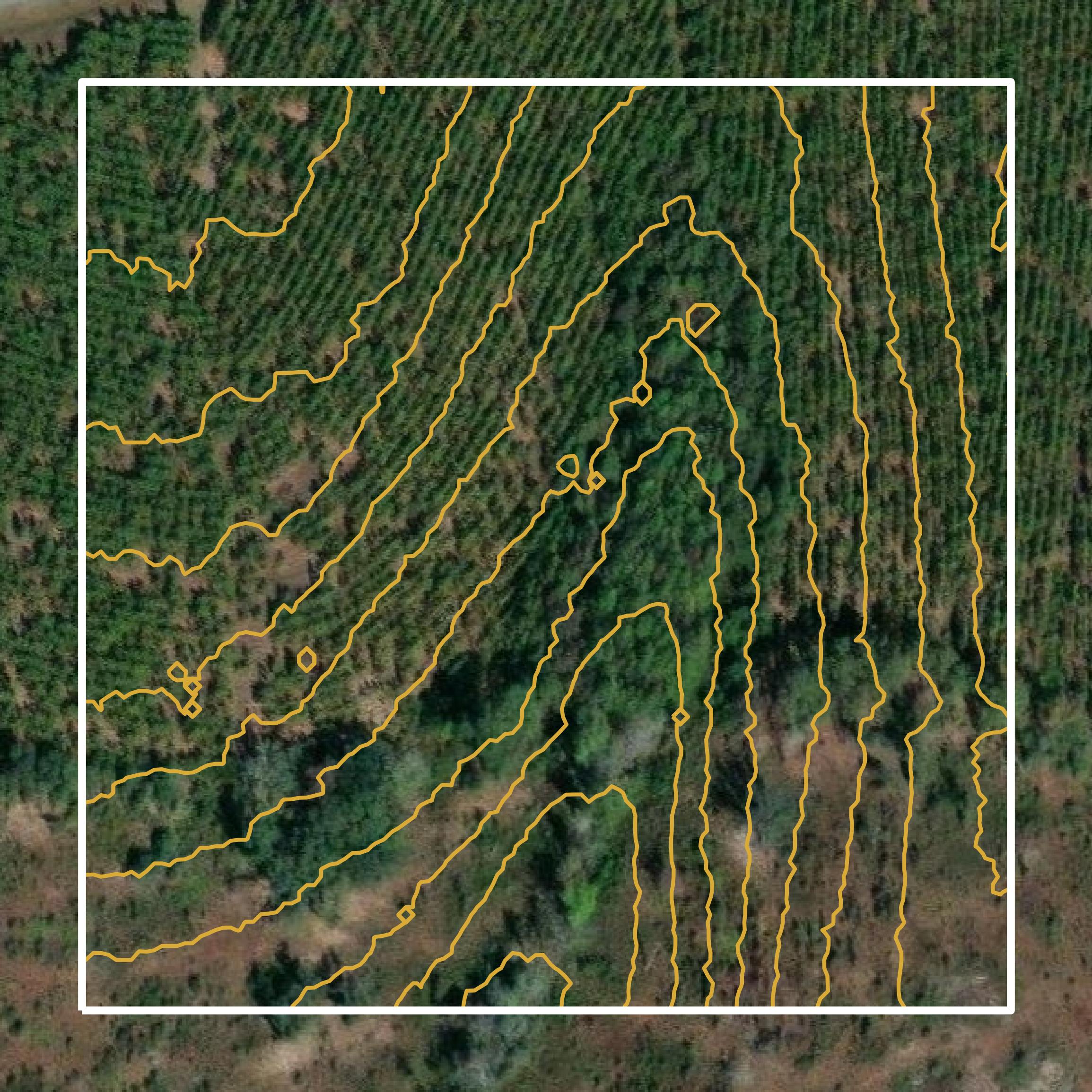 This image shows a contour map in Appling County created using GIS data in Equator.