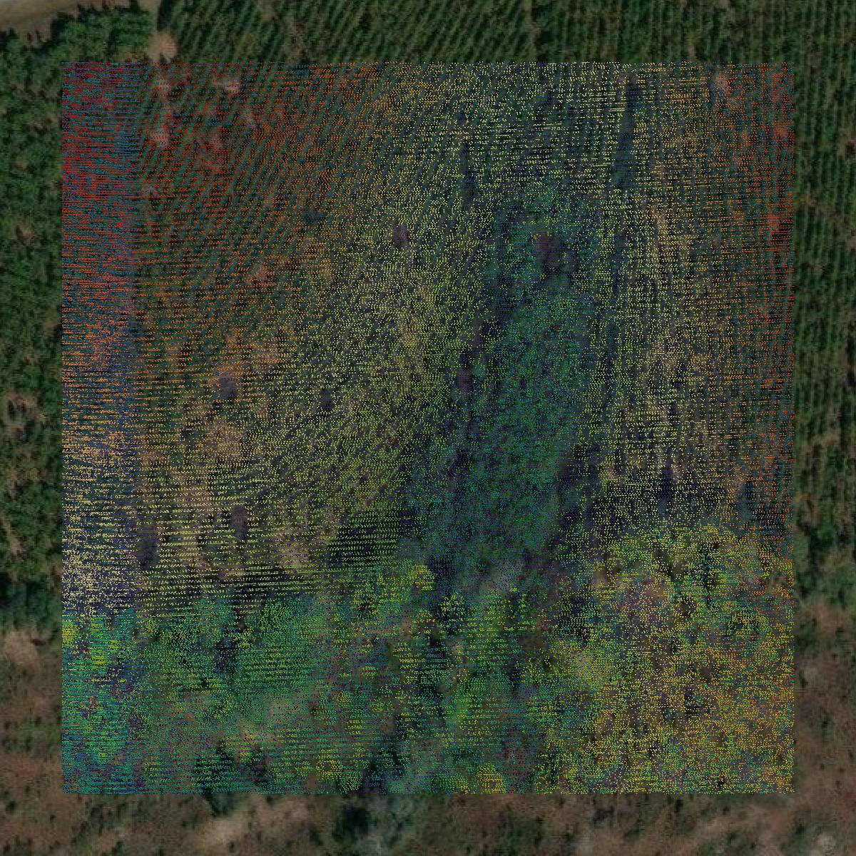 This image shows a LiDAR point cloud in Appling County created using GIS data in Equator.