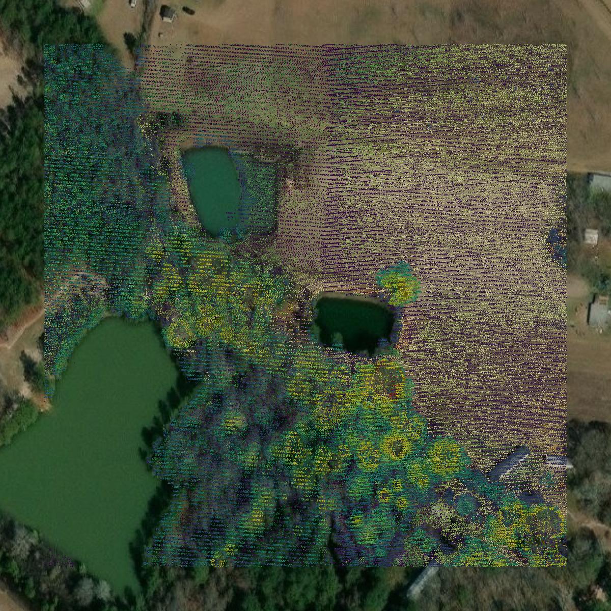 This image shows a LiDAR point cloud in Appling County created using GIS data in Equator.