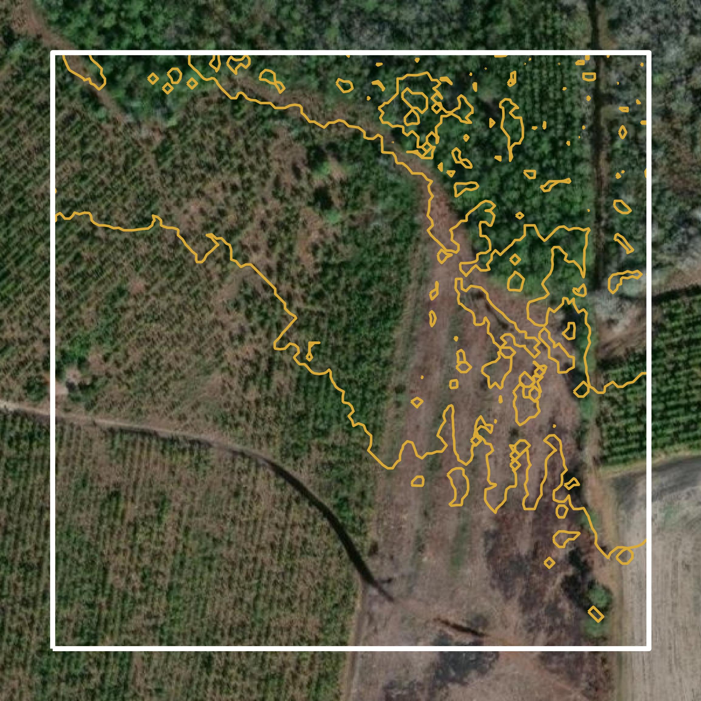 This image shows a contour map in Atkinson County created using GIS data in Equator.