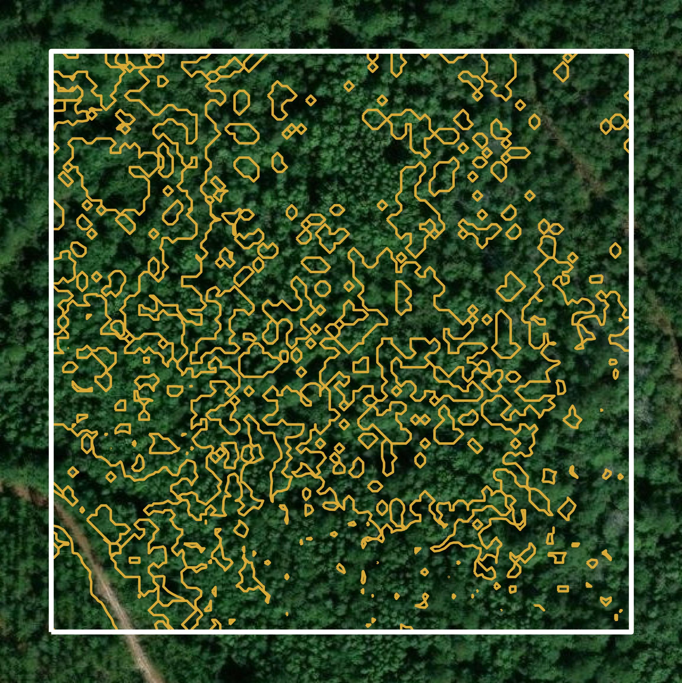 This image shows a contour map in Atkinson County created using GIS data in Equator.