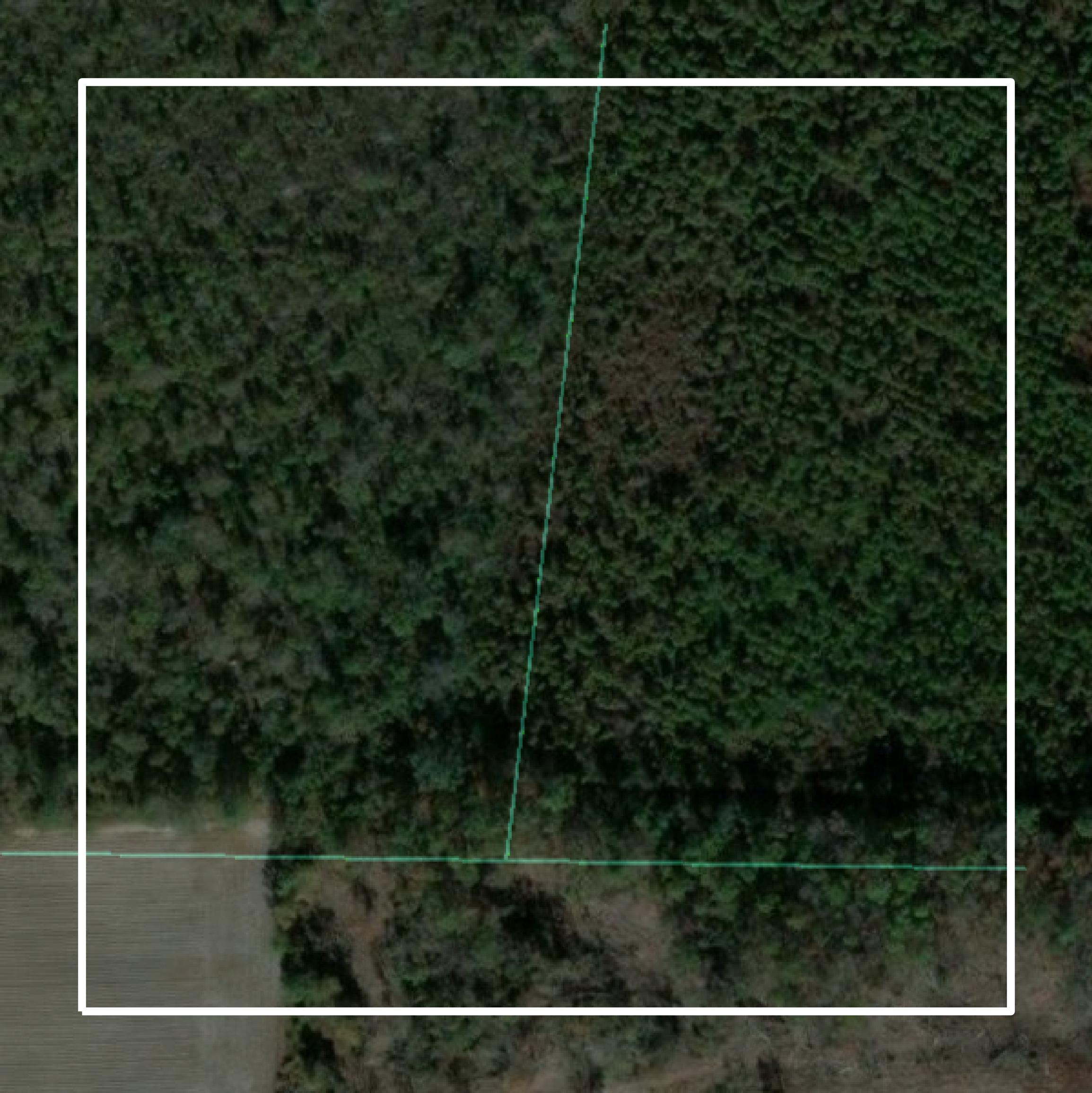 This image shows parcel and building data in Atkinson County created using GIS data in Equator.