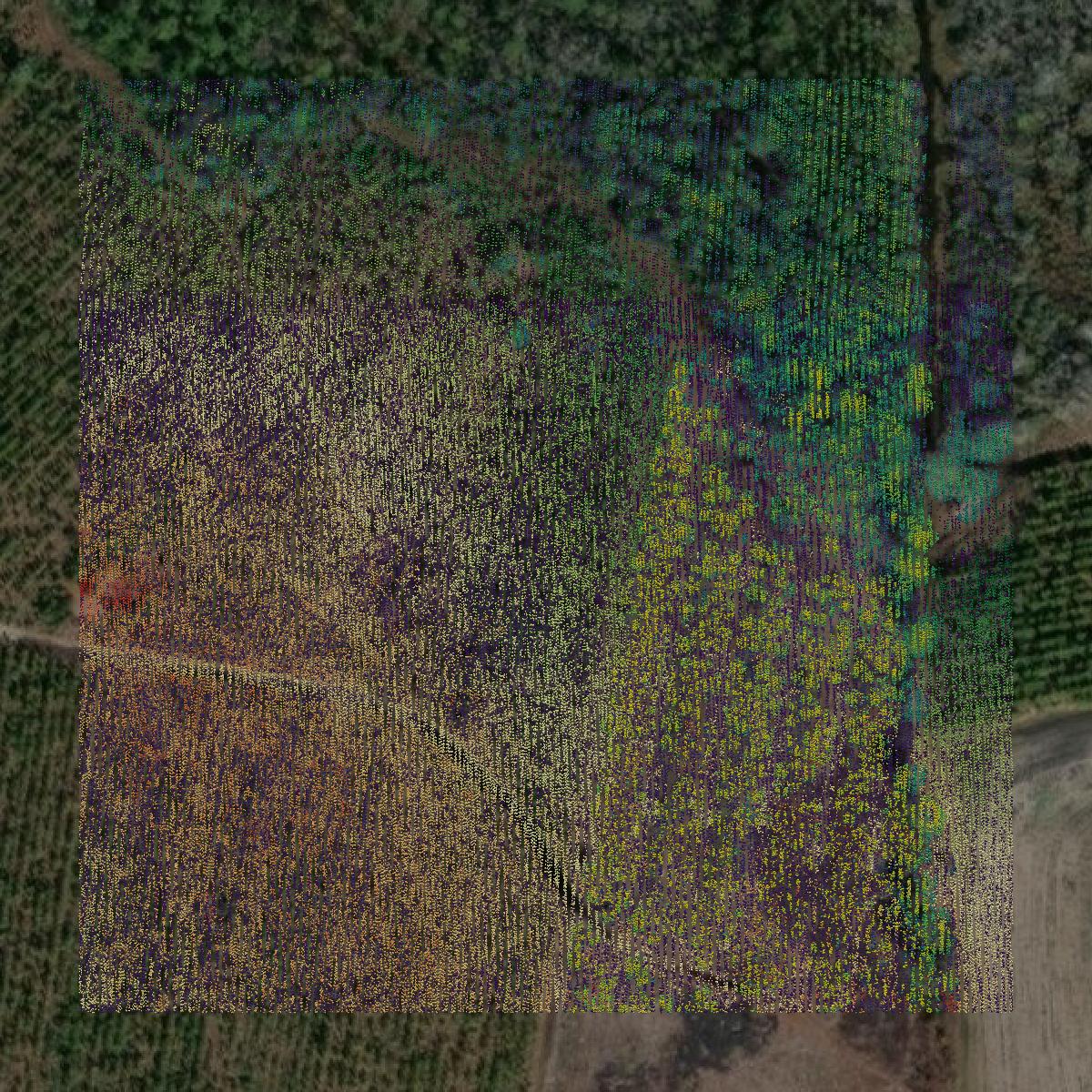 This image shows a LiDAR point cloud in Atkinson County created using GIS data in Equator.