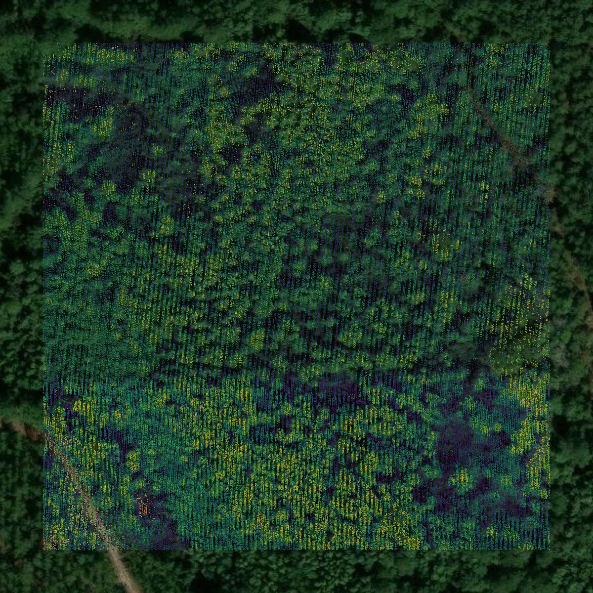 This image shows a LiDAR point cloud in Atkinson County created using GIS data in Equator.