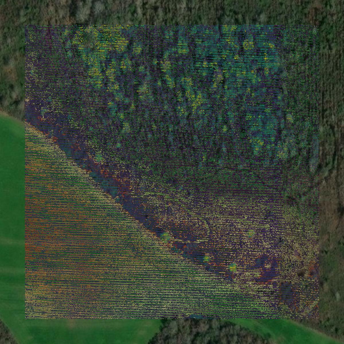 This image shows a LiDAR point cloud in Bacon County created using GIS data in Equator.