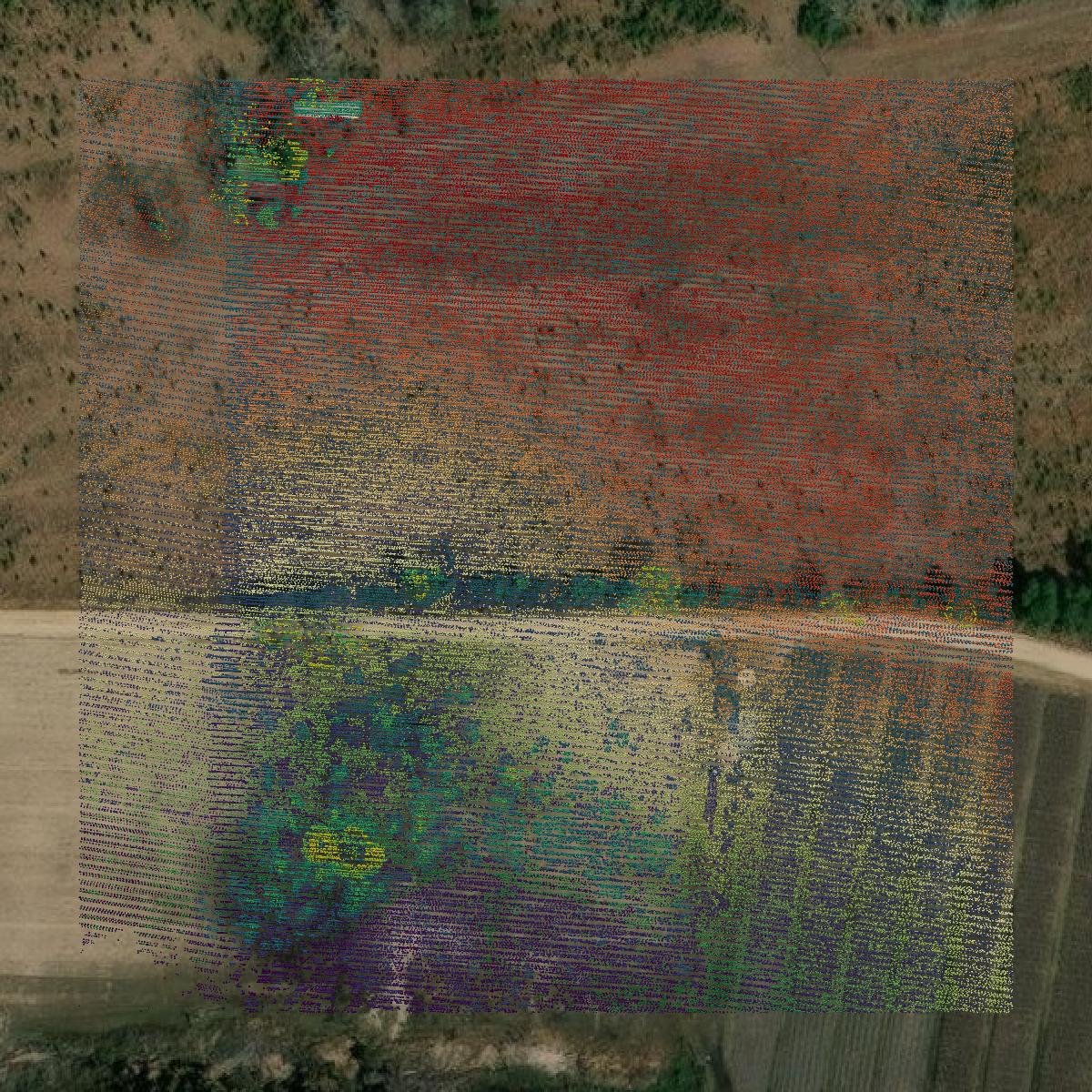 This image shows a LiDAR point cloud in Bacon County created using GIS data in Equator.