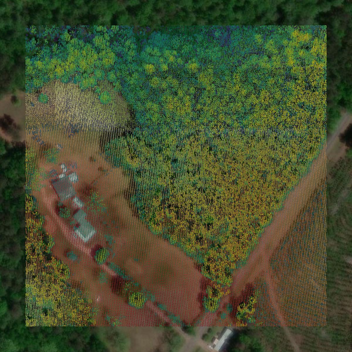 This image shows a LiDAR point cloud in Baldwin County created using GIS data in Equator.