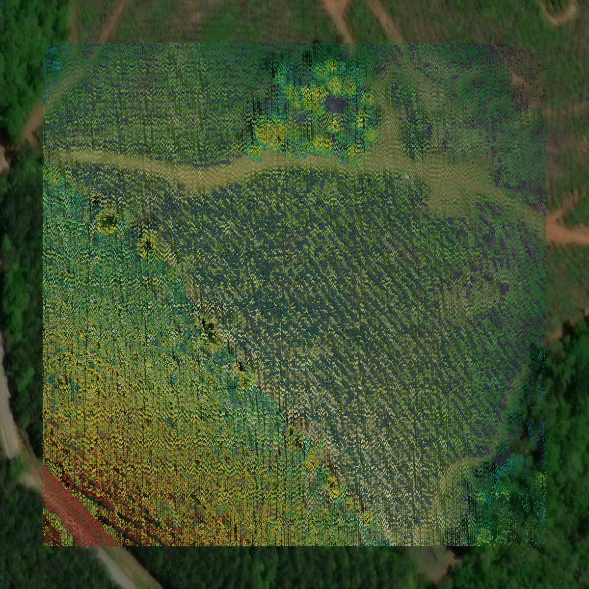 This image shows a LiDAR point cloud in Baldwin County created using GIS data in Equator.