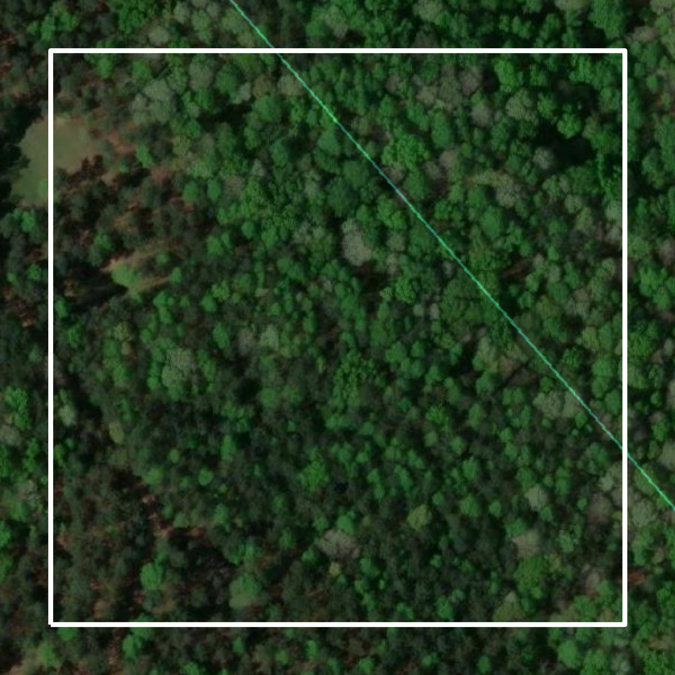 This image shows parcel and building data in Banks County created using GIS data in Equator.