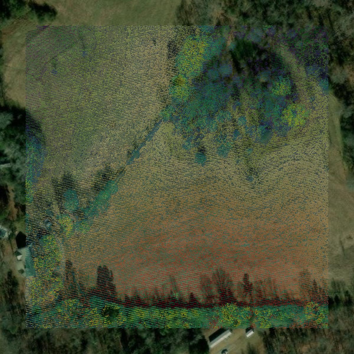 This image shows a LiDAR point cloud in Banks County created using GIS data in Equator.