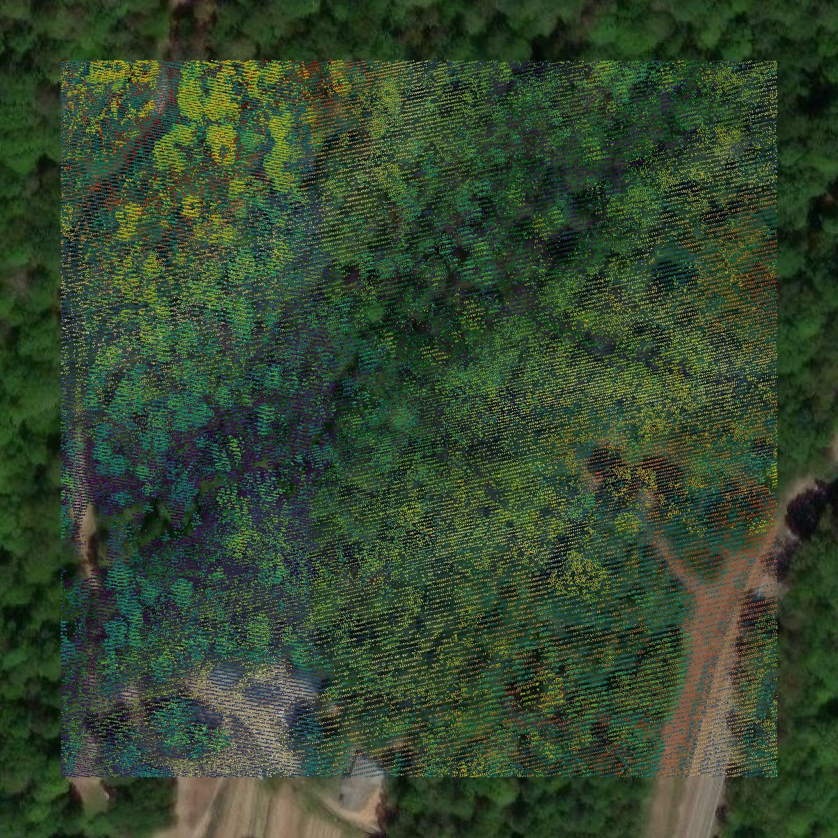 This image shows a LiDAR point cloud in Banks County created using GIS data in Equator.