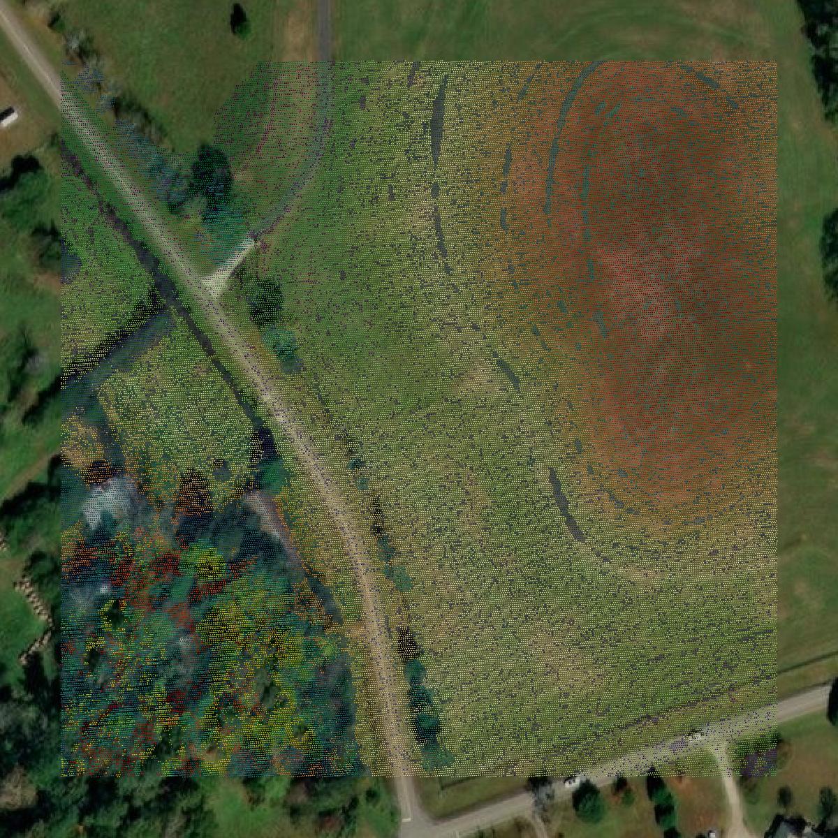 This image shows a LiDAR point cloud in Barrow County created using GIS data in Equator.