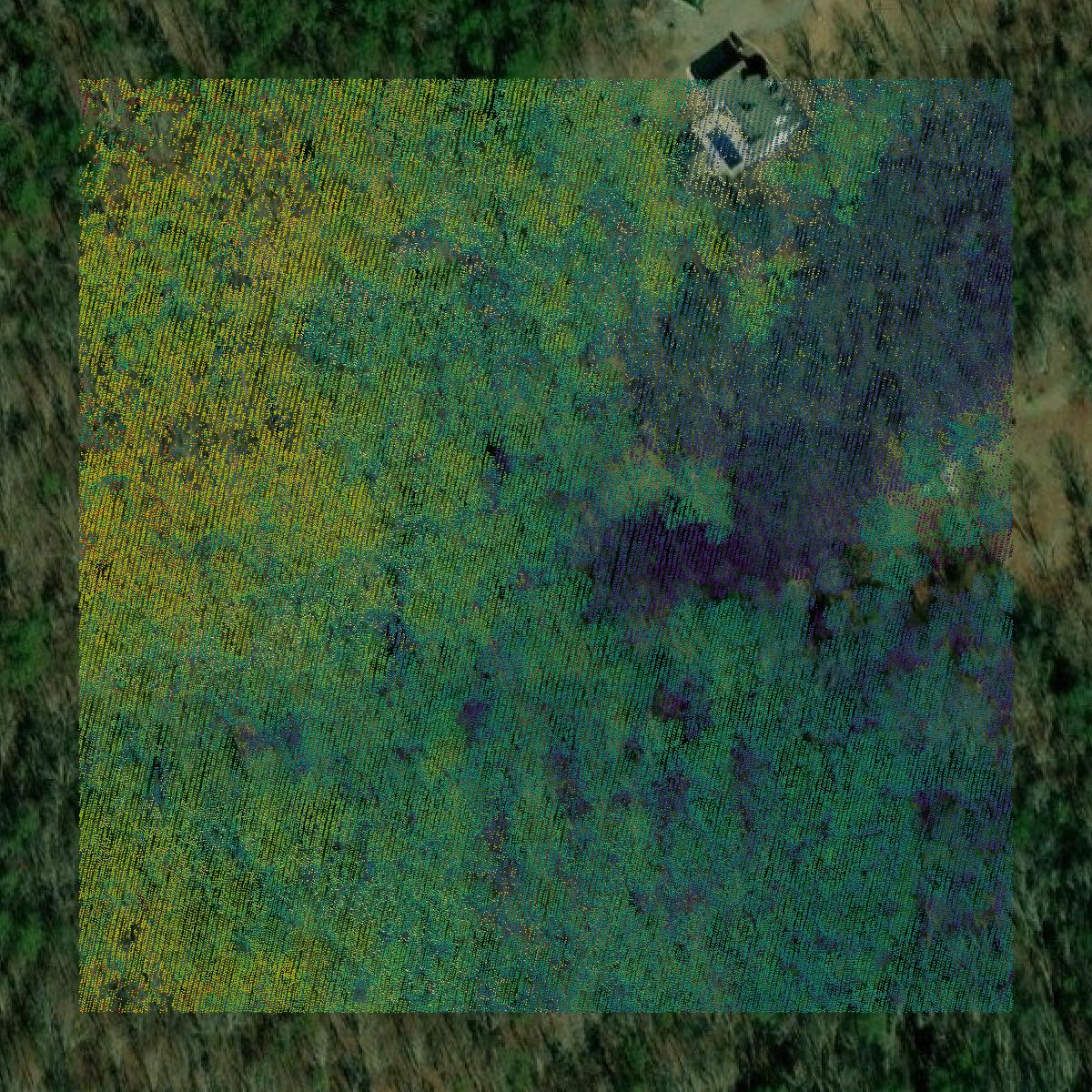 This image shows a LiDAR point cloud in Bartow County created using GIS data in Equator.