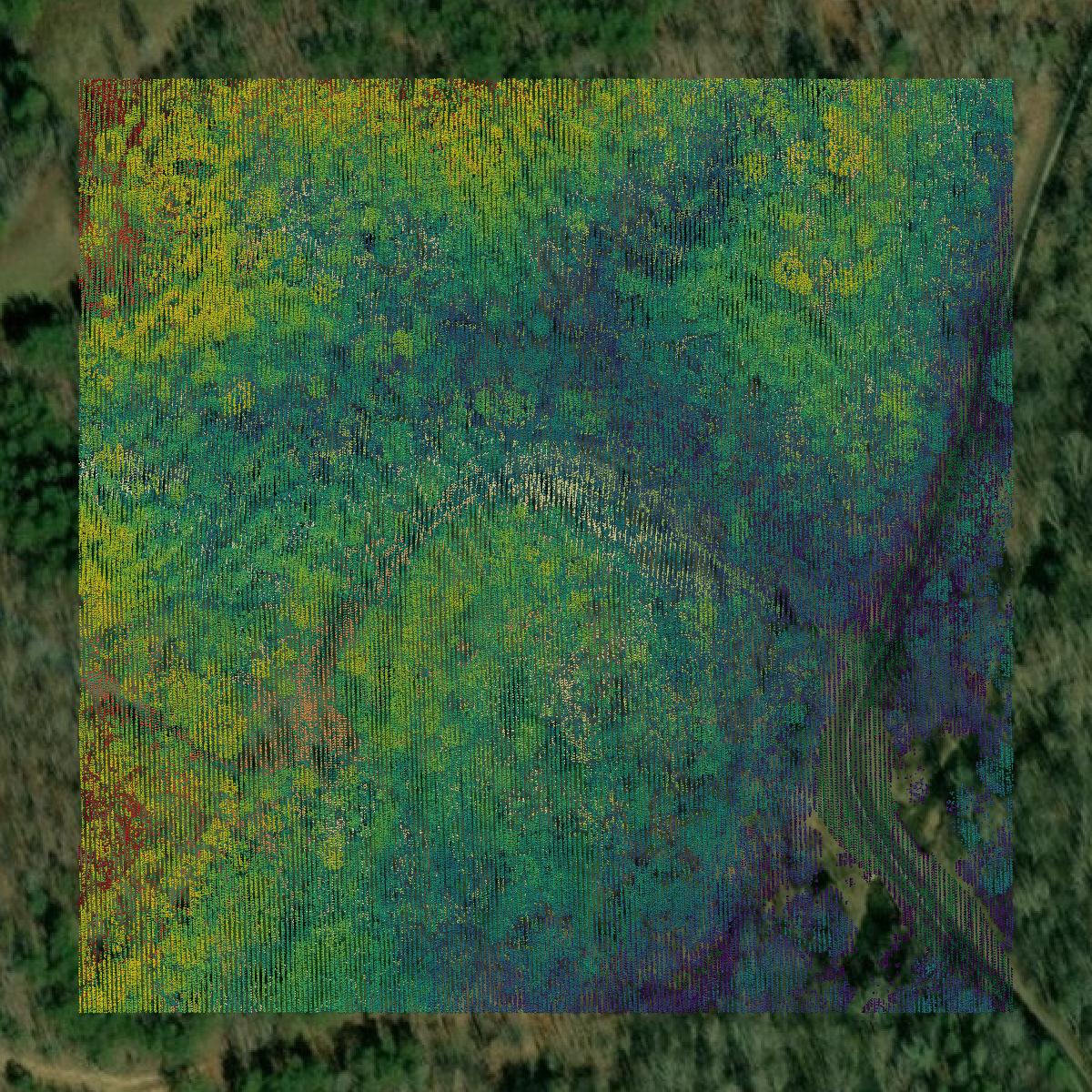 This image shows a LiDAR point cloud in Bartow County created using GIS data in Equator.