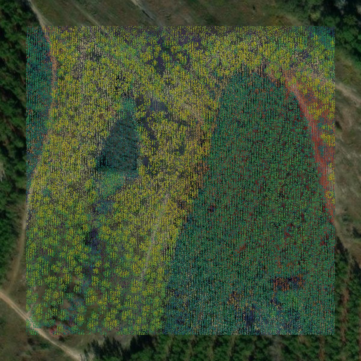This image shows a LiDAR point cloud in Ben Hill County created using GIS data in Equator.