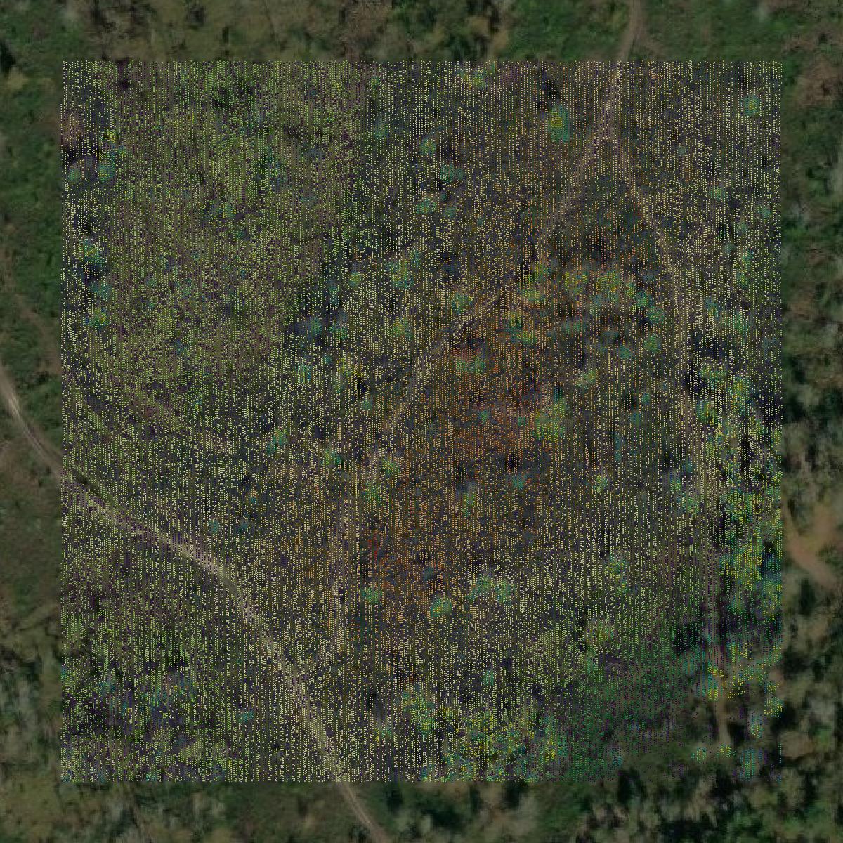 This image shows a LiDAR point cloud in Berrien County created using GIS data in Equator.
