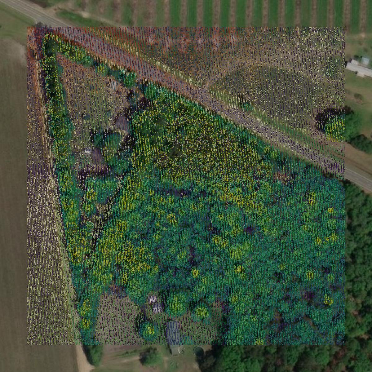This image shows a LiDAR point cloud in Berrien County created using GIS data in Equator.