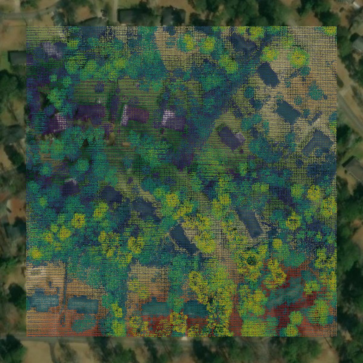 This image shows a LiDAR point cloud in Bibb County created using GIS data in Equator.