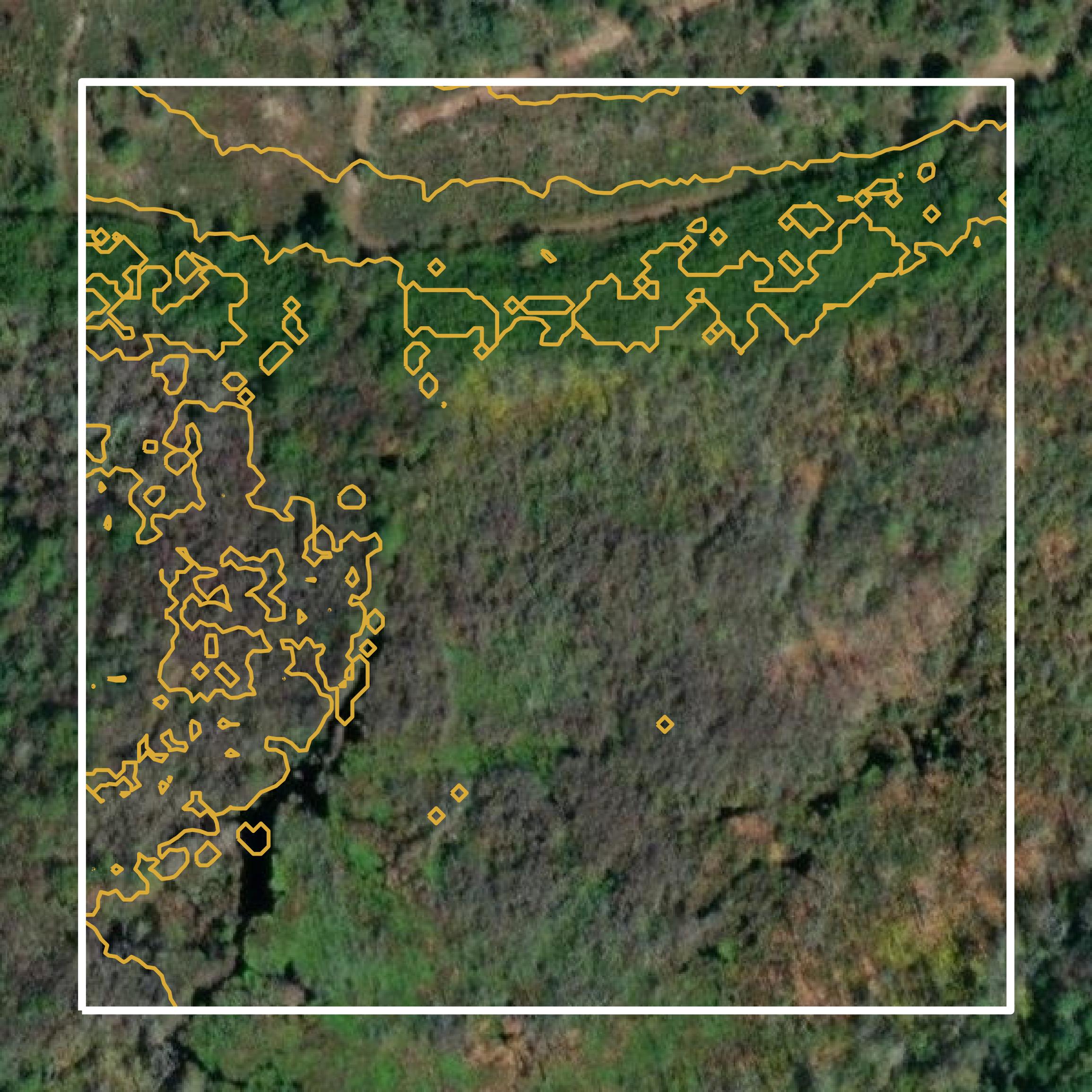 This image shows a contour map in Brantley County created using GIS data in Equator.