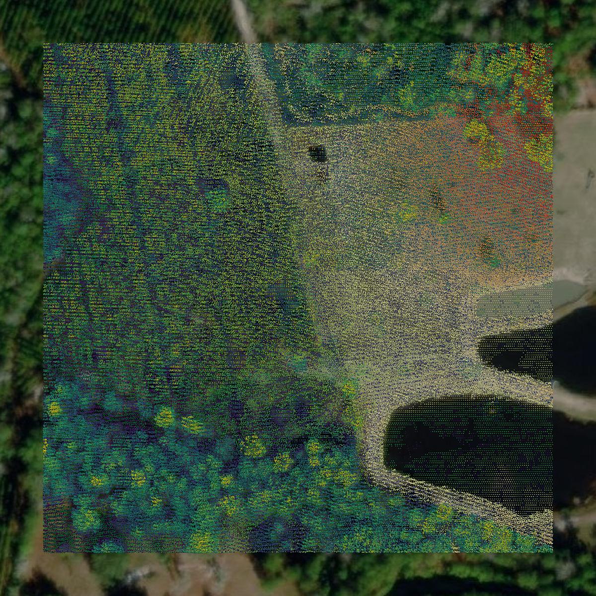 This image shows a LiDAR point cloud in Brantley County created using GIS data in Equator.