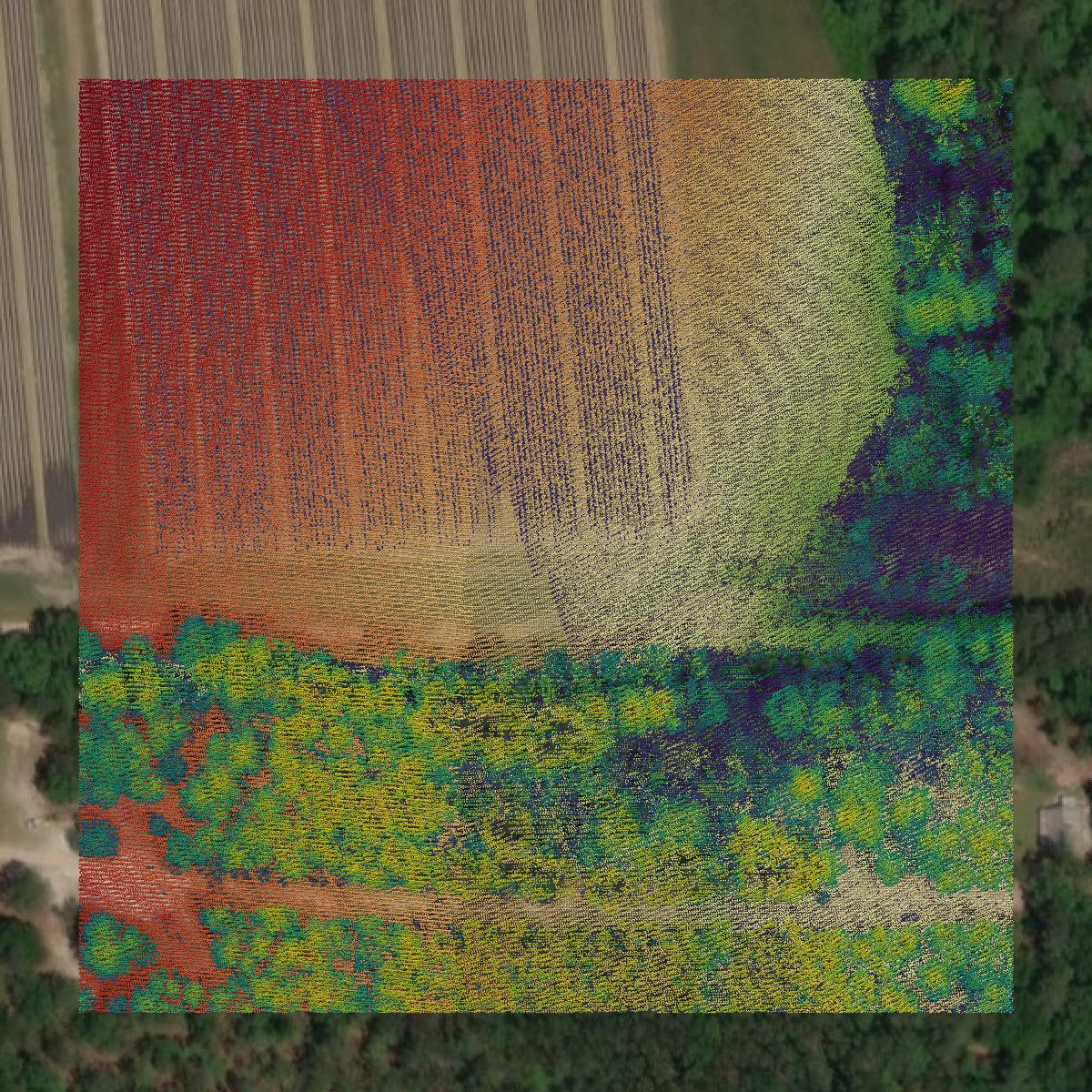 This image shows a LiDAR point cloud in Brooks County created using GIS data in Equator.