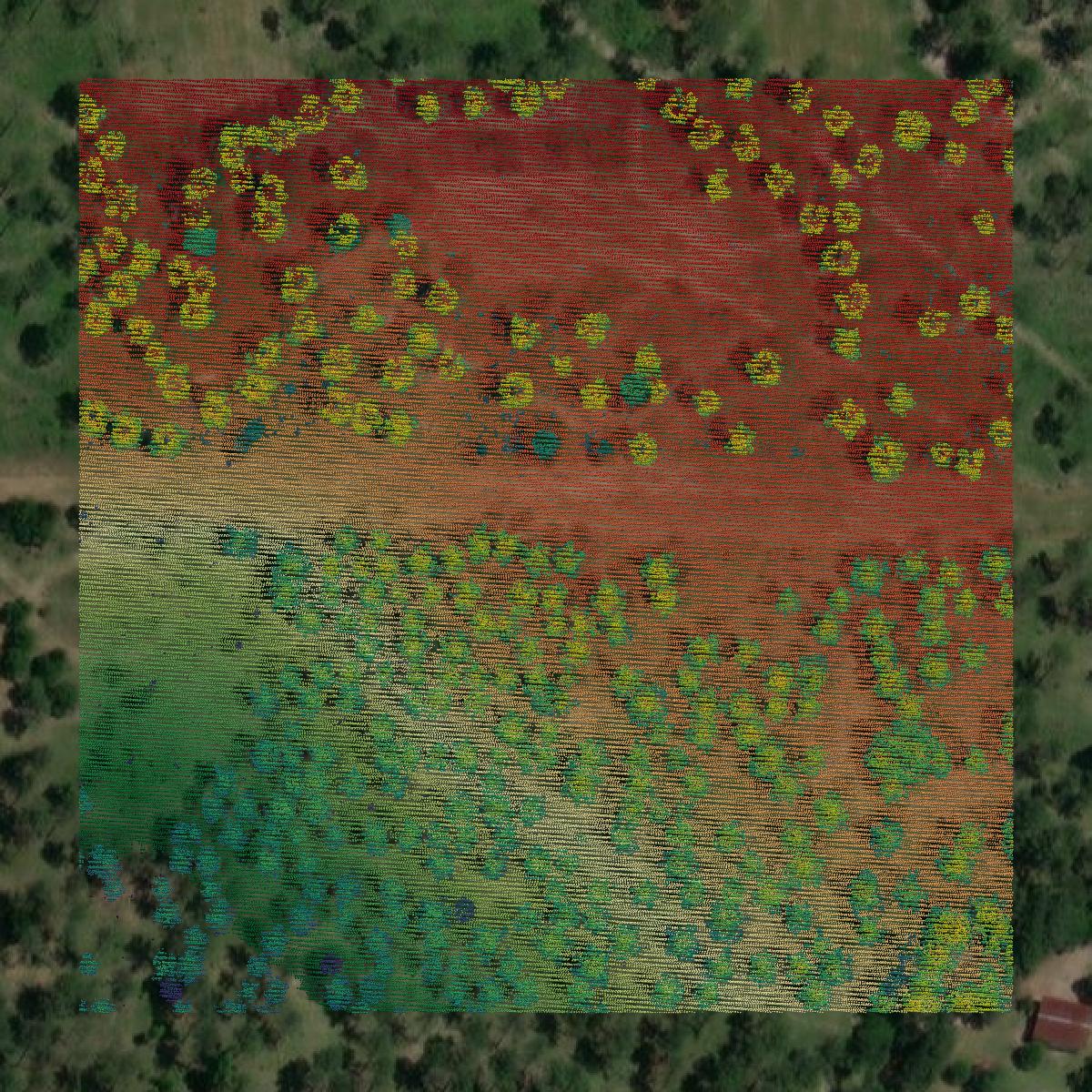 This image shows a LiDAR point cloud in Brooks County created using GIS data in Equator.