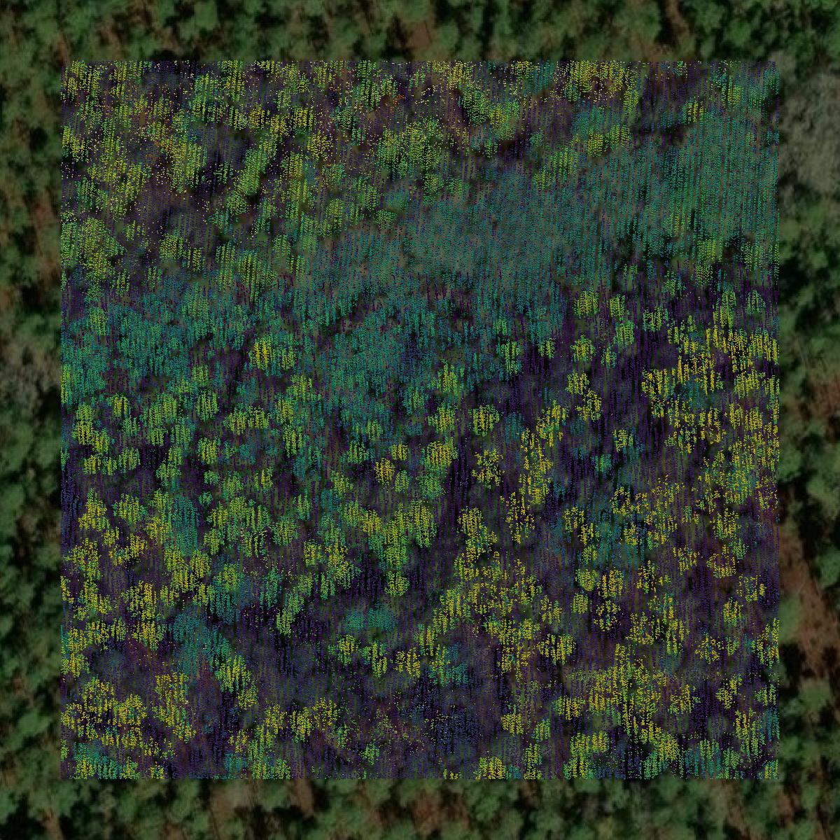 This image shows a LiDAR point cloud in Bryan County created using GIS data in Equator.