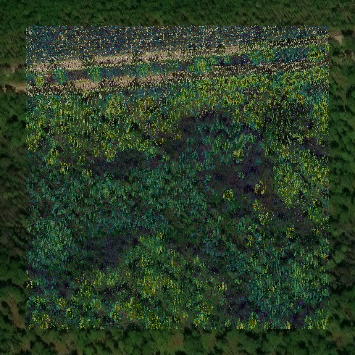 This image shows a LiDAR point cloud in Bryan County created using GIS data in Equator.