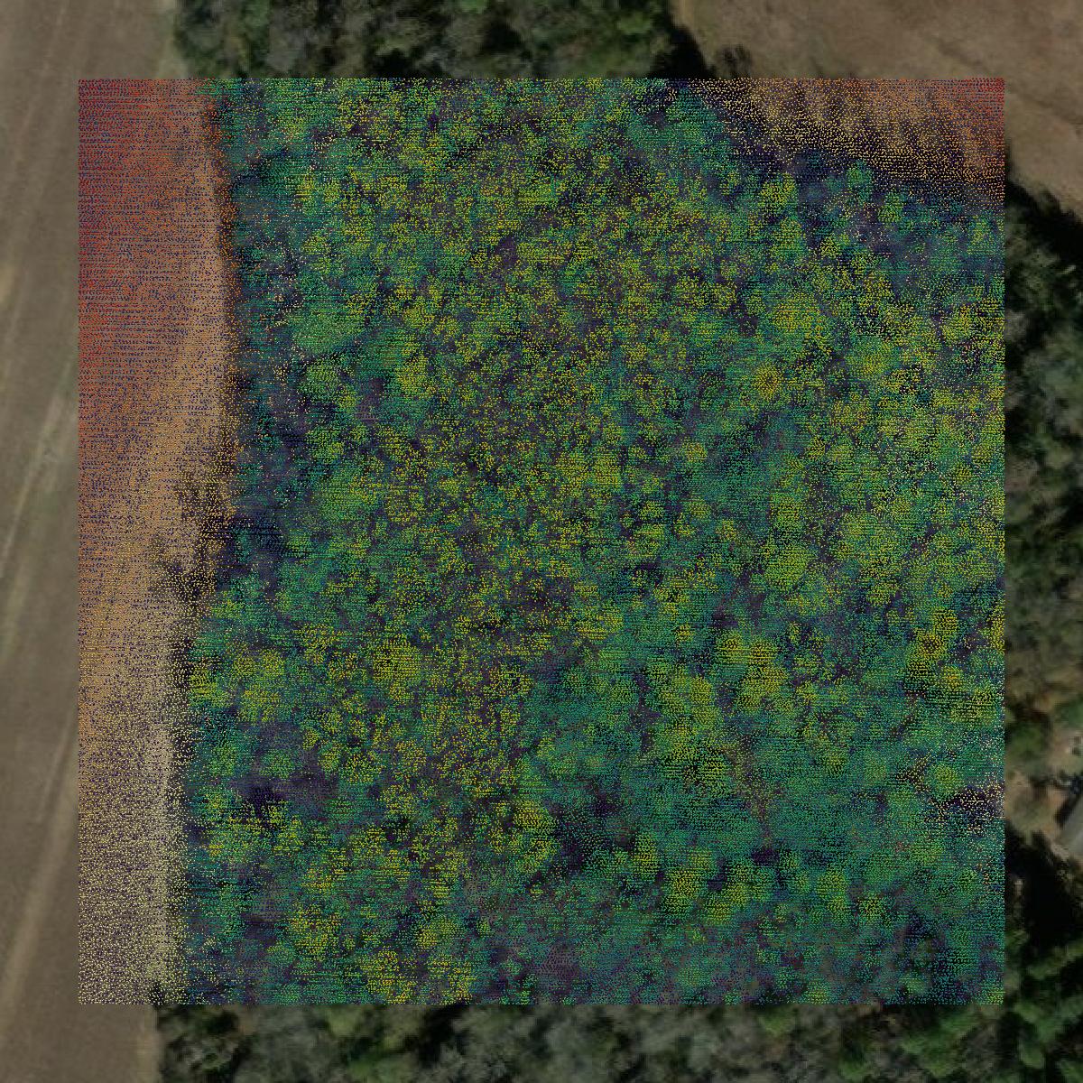 This image shows a LiDAR point cloud in Bulloch County created using GIS data in Equator.