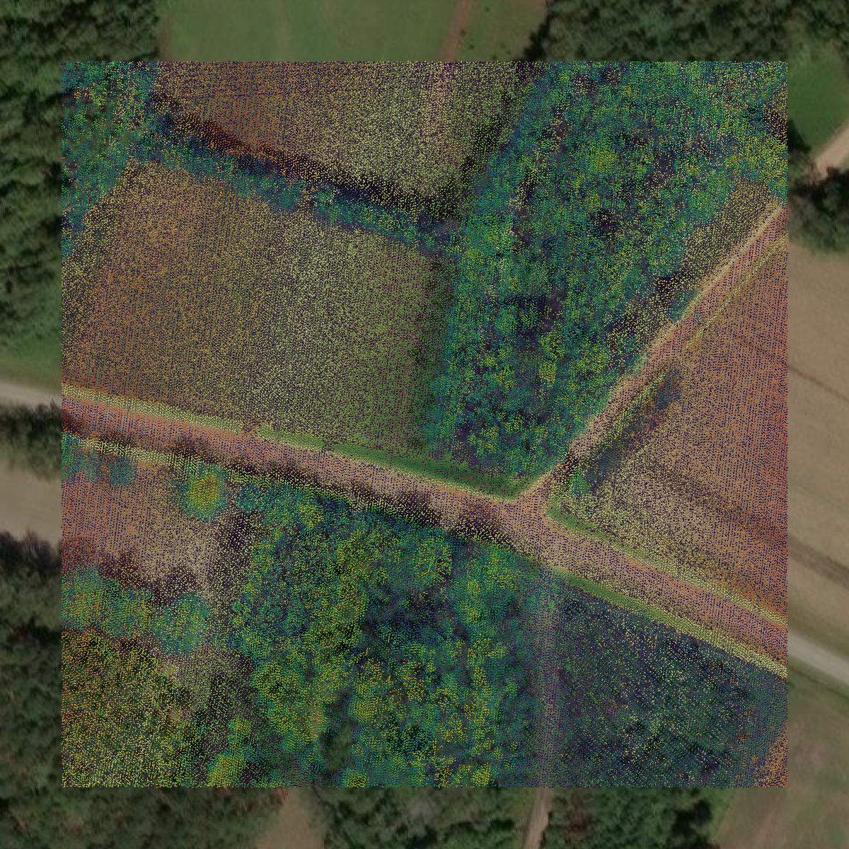This image shows a LiDAR point cloud in Bulloch County created using GIS data in Equator.