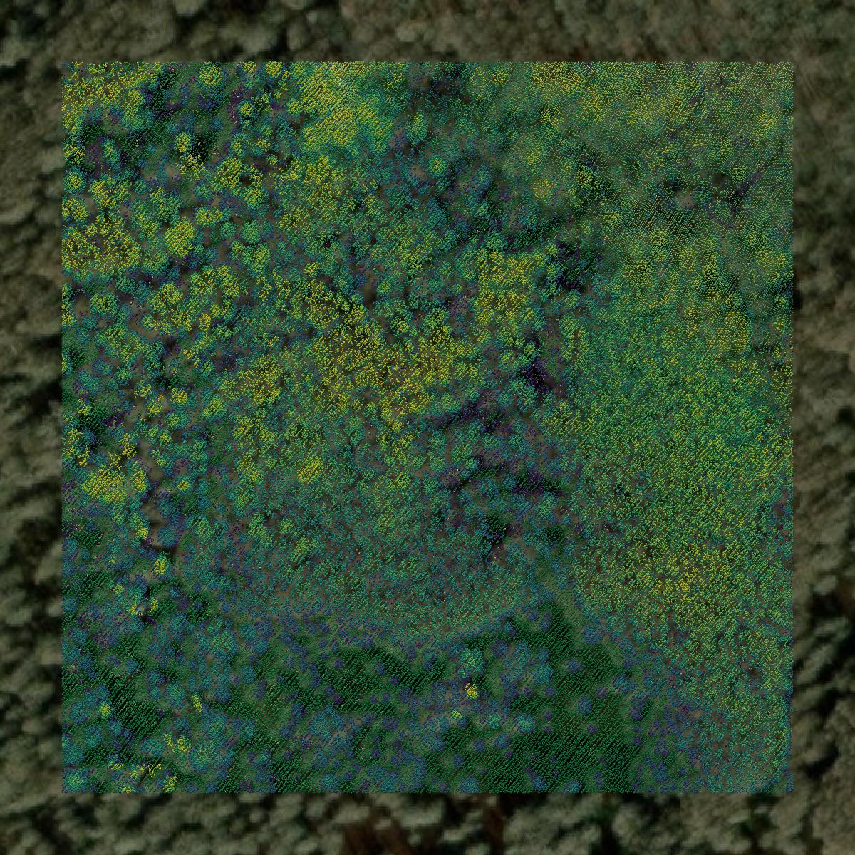 This image shows a LiDAR point cloud in Burke County created using GIS data in Equator.