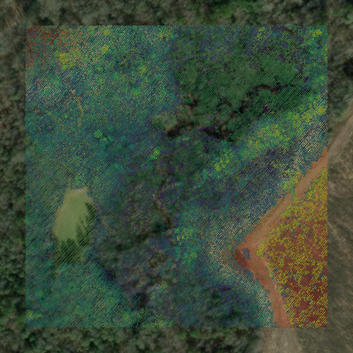 This image shows a LiDAR point cloud in Burke County created using GIS data in Equator.