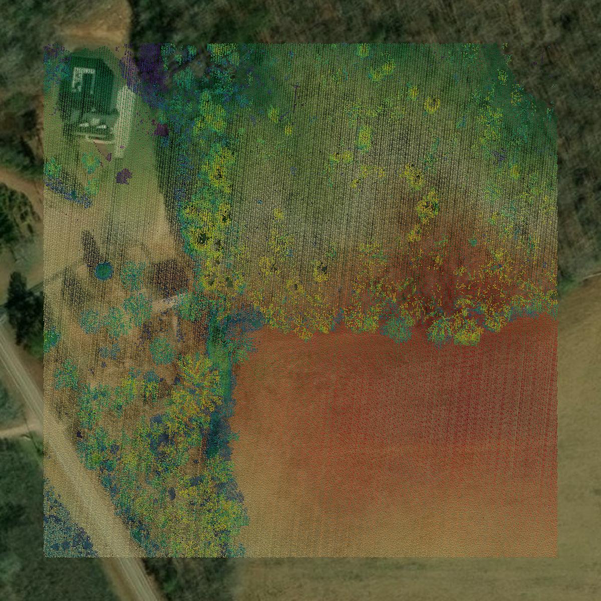 This image shows a LiDAR point cloud in Butts County created using GIS data in Equator.