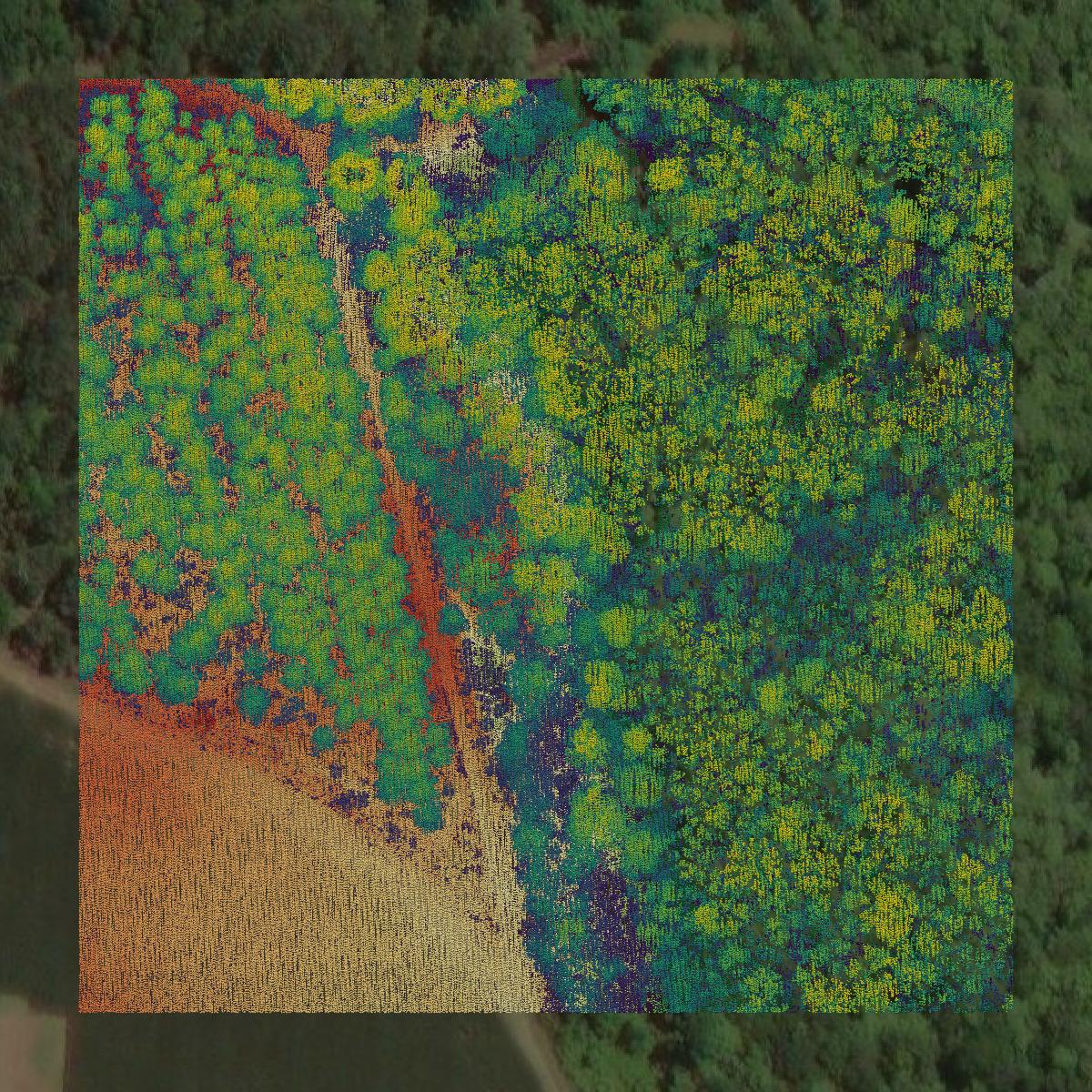 This image shows a LiDAR point cloud in Calhoun County created using GIS data in Equator.