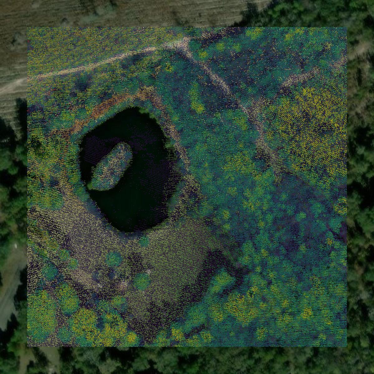 This image shows a LiDAR point cloud in Camden County created using GIS data in Equator.