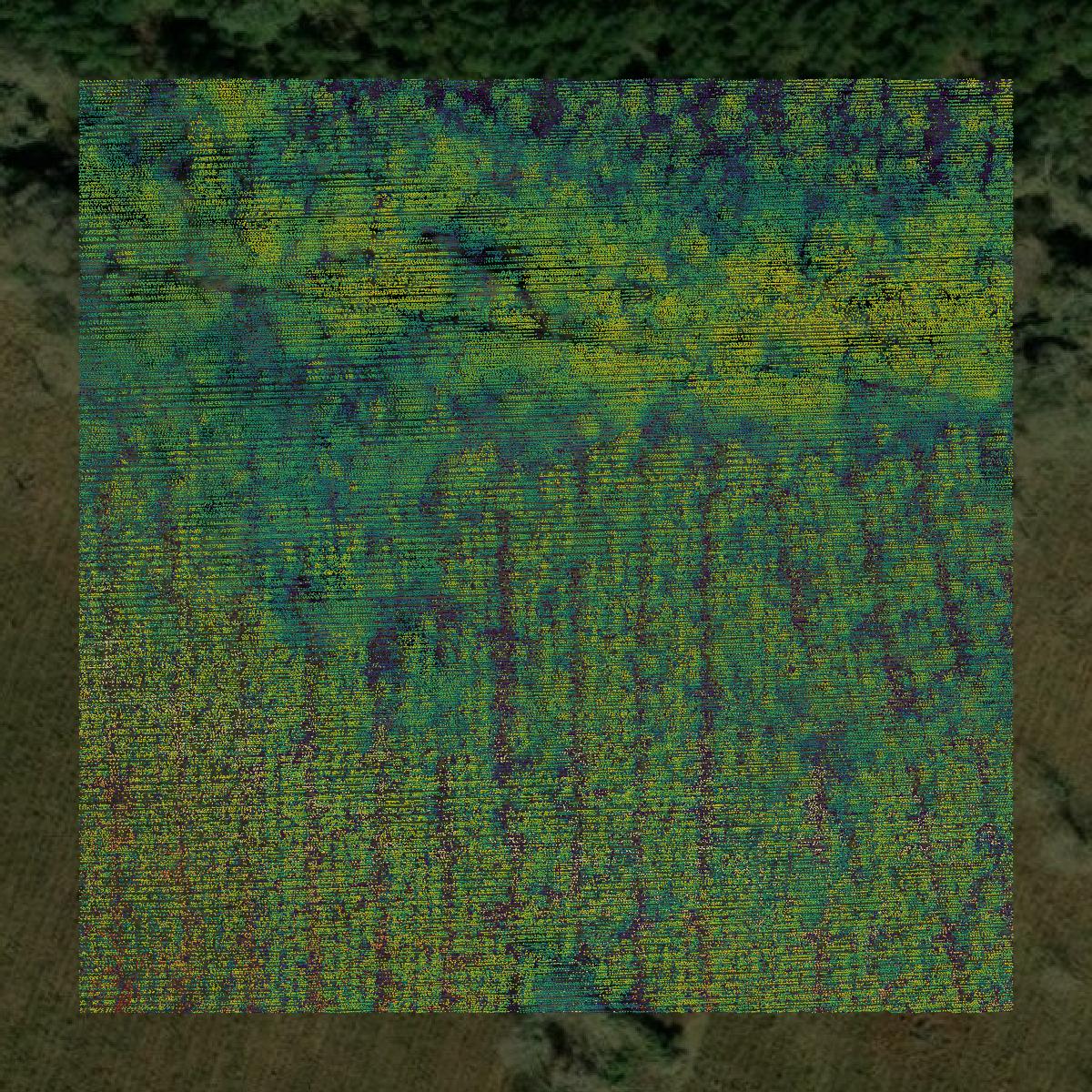 This image shows a LiDAR point cloud in Camden County created using GIS data in Equator.