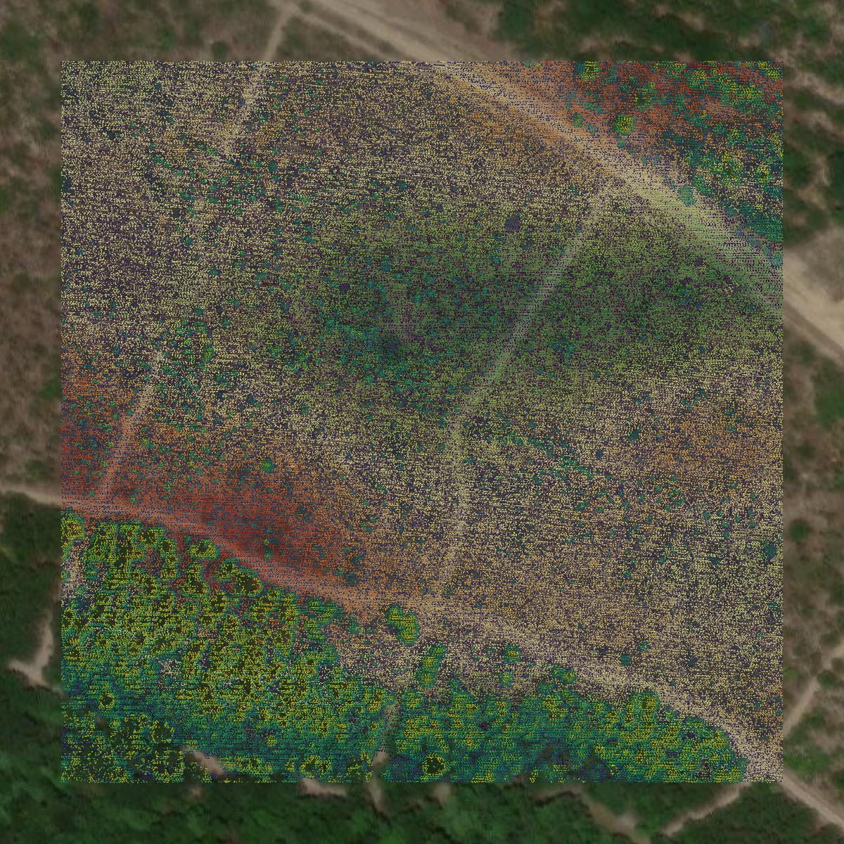 This image shows a LiDAR point cloud in Candler County created using GIS data in Equator.