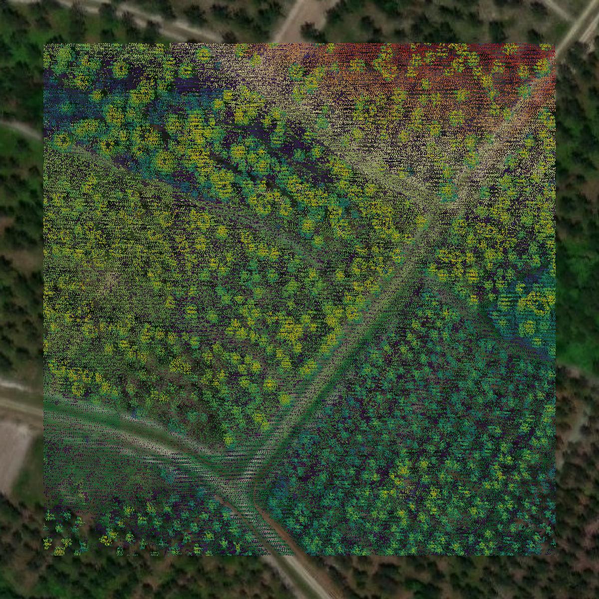 This image shows a LiDAR point cloud in Candler County created using GIS data in Equator.