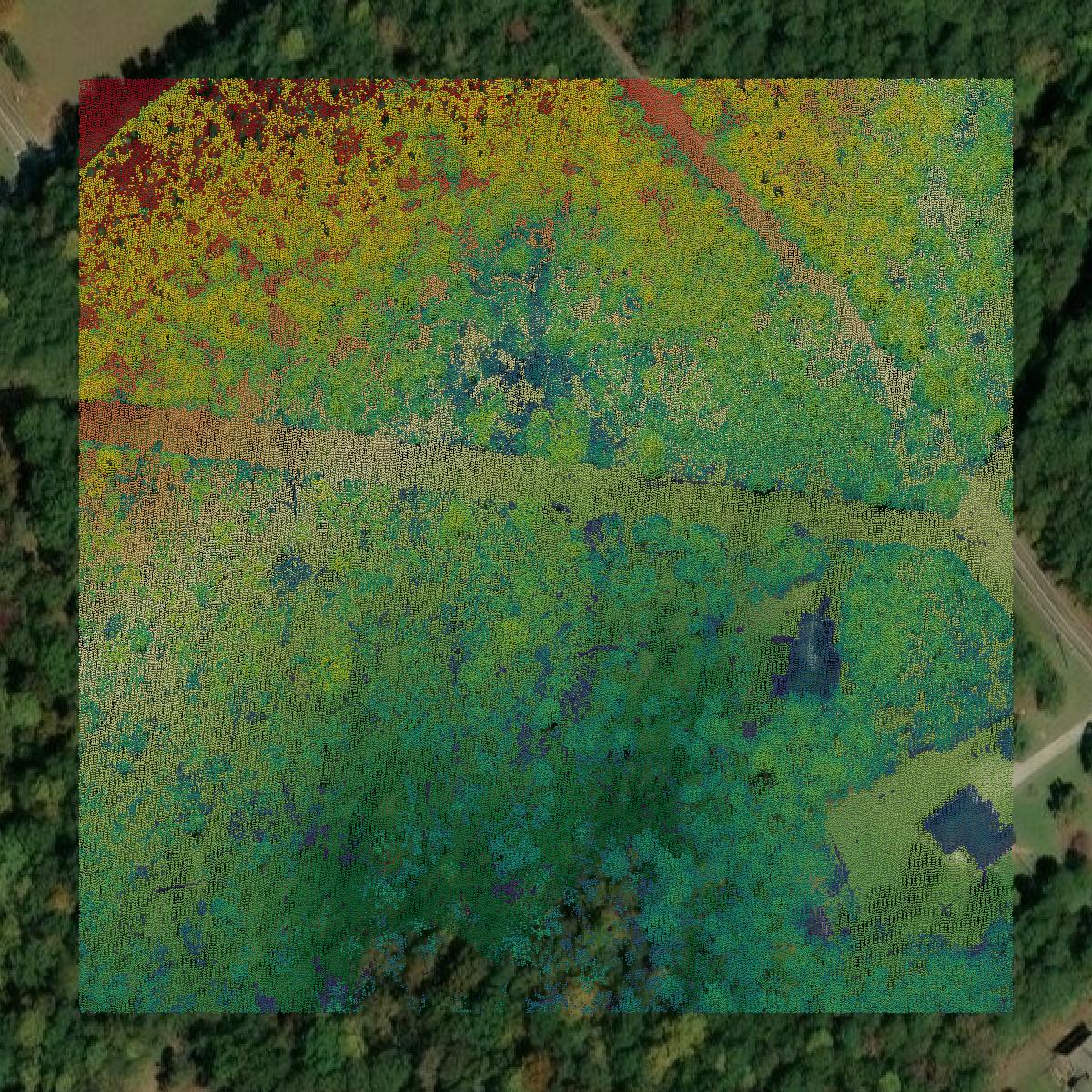 This image shows a LiDAR point cloud in Carroll County created using GIS data in Equator.